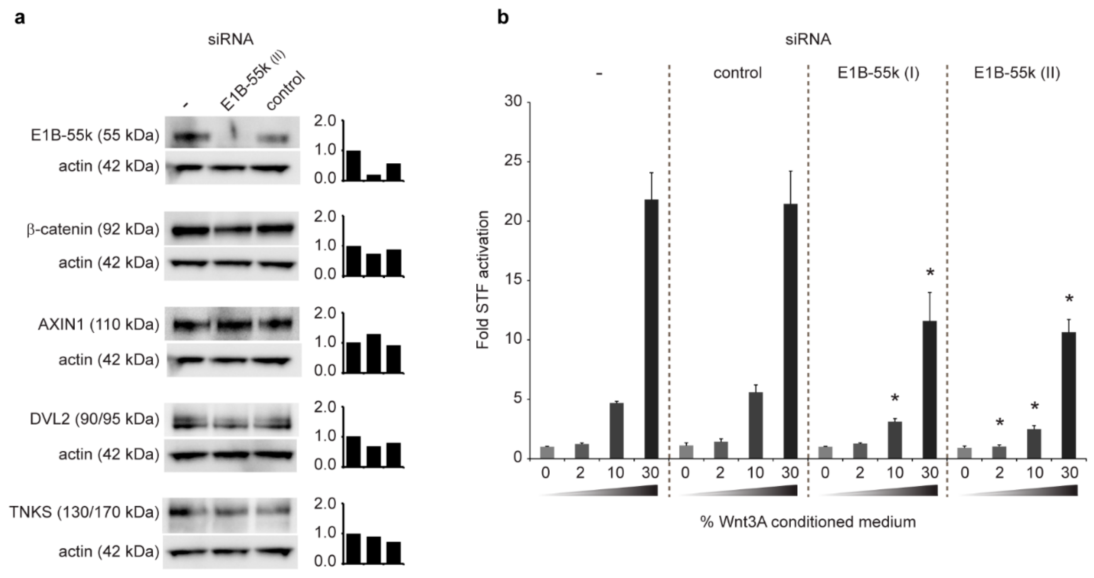 Genes 12 01920 g004 Genes 12 01920 g004