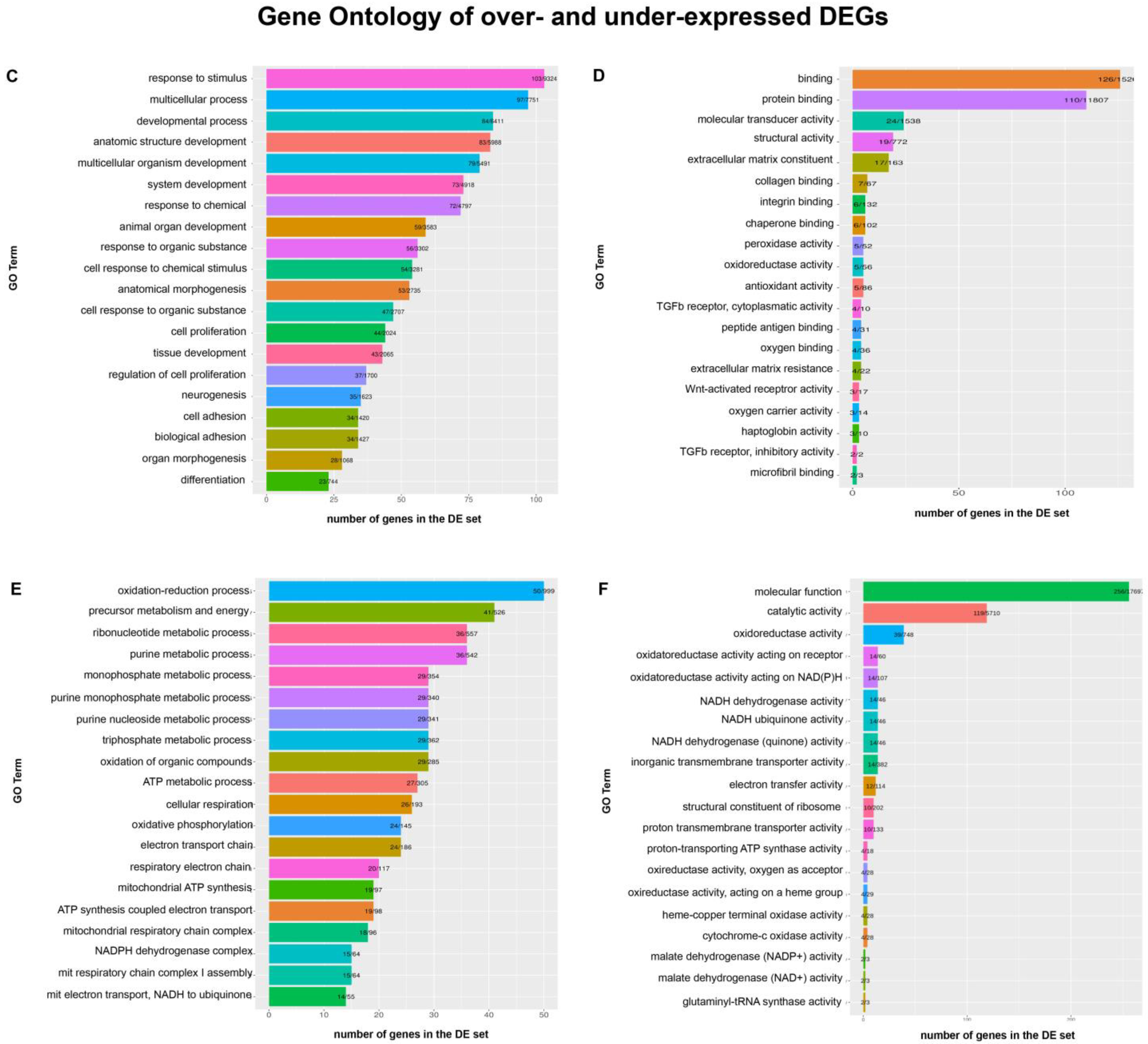 Genes 12 01946 g002b