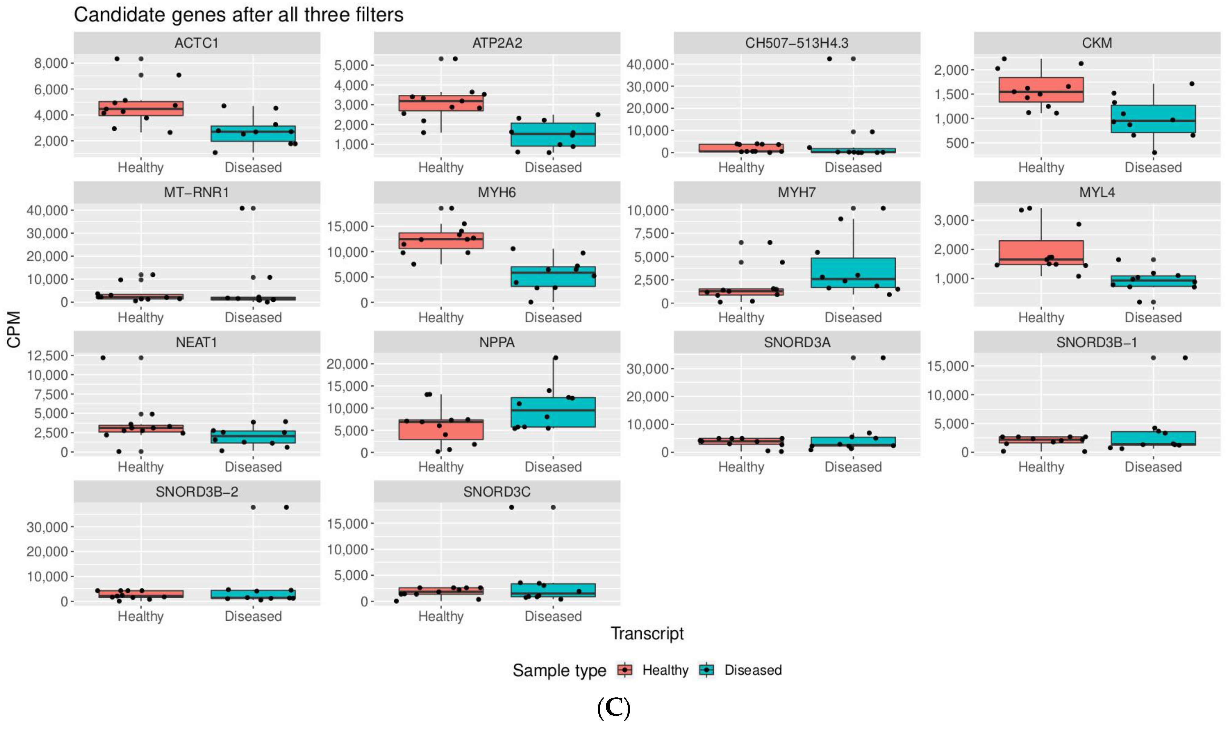 Genes 12 01946 g003b