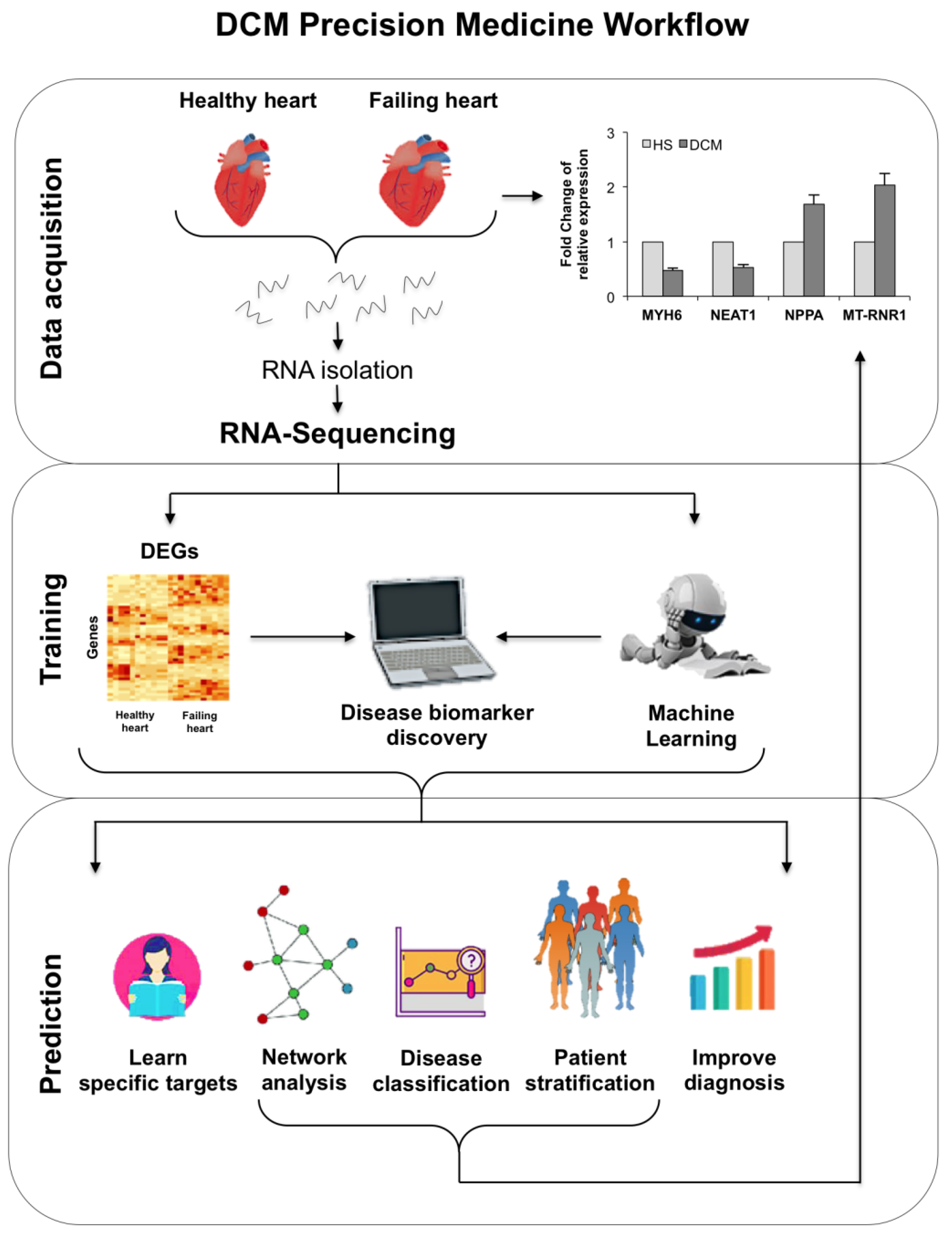 Genes 12 01946 g007