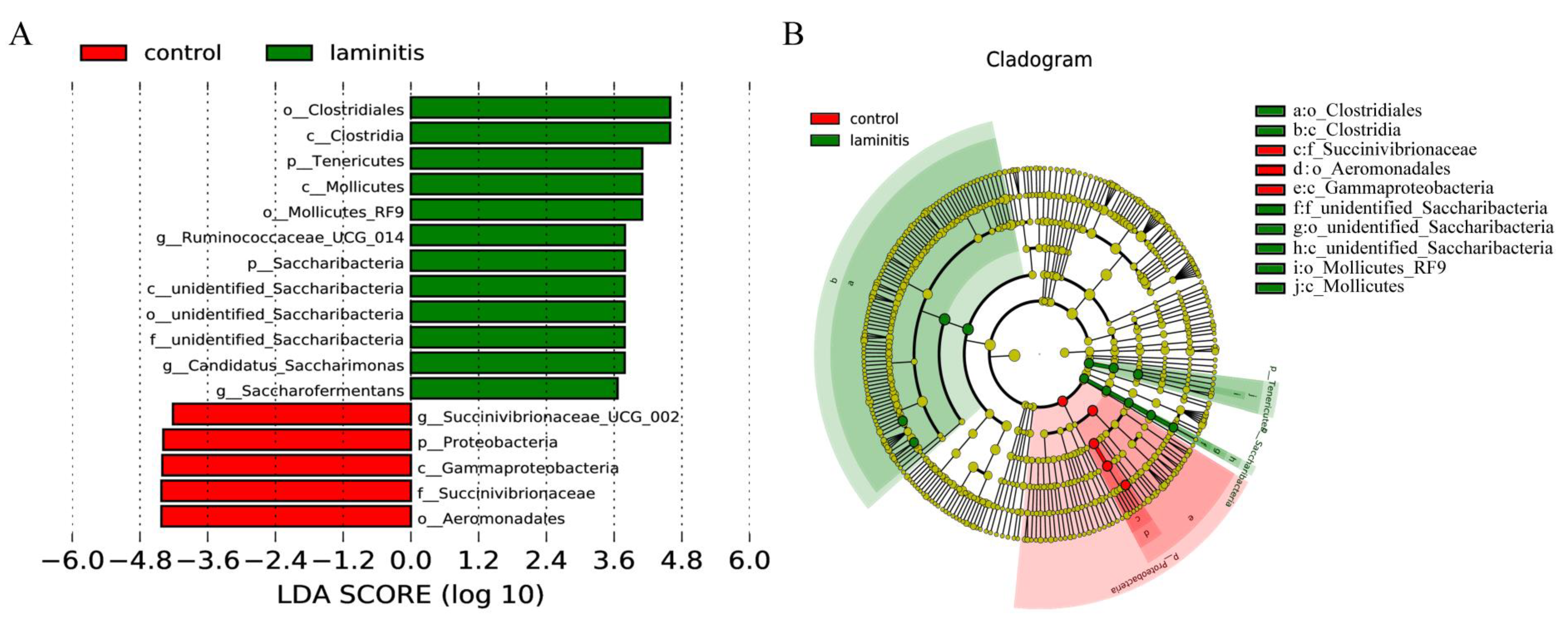 Genes 12 01996 g006