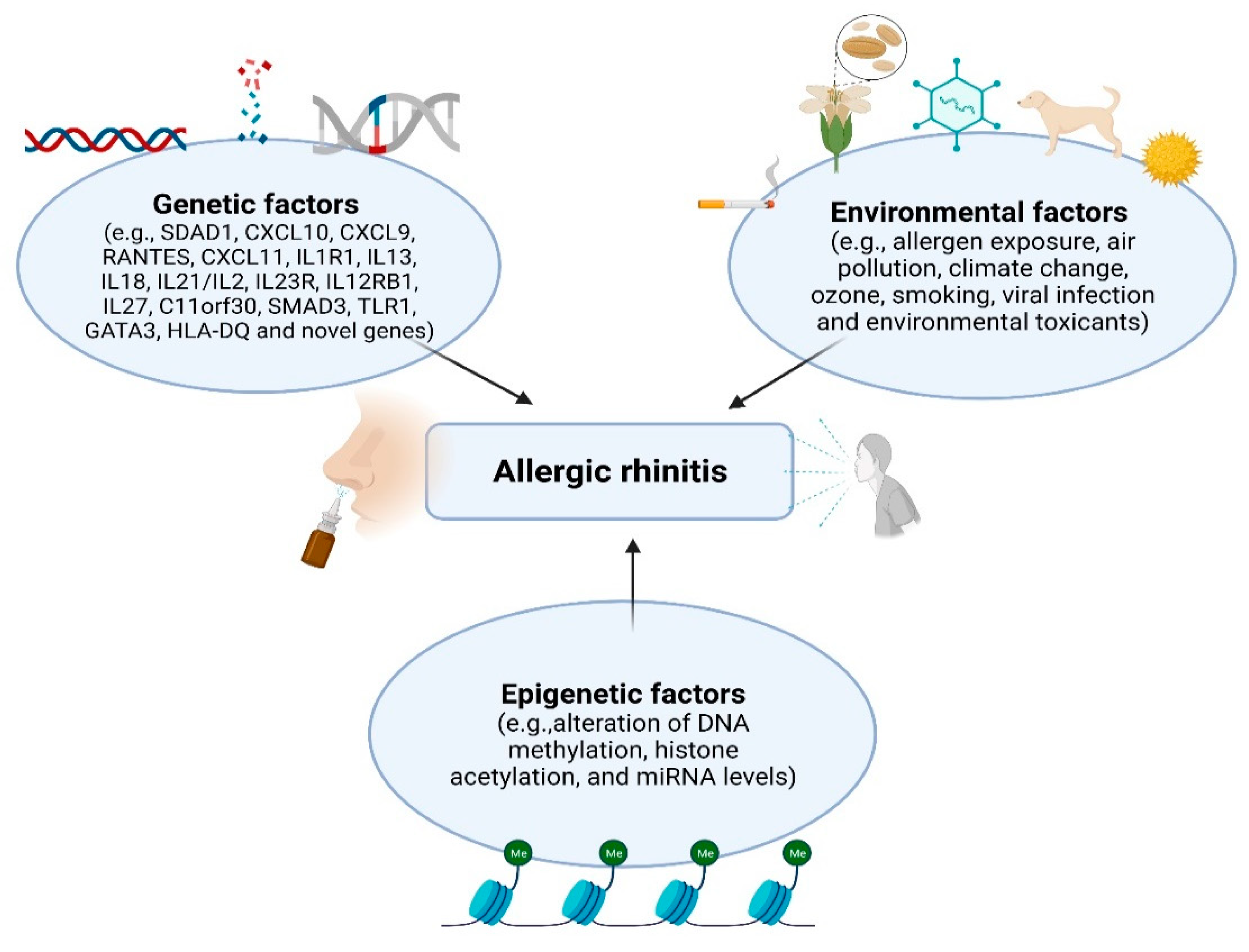 Genes 12 02004 g001