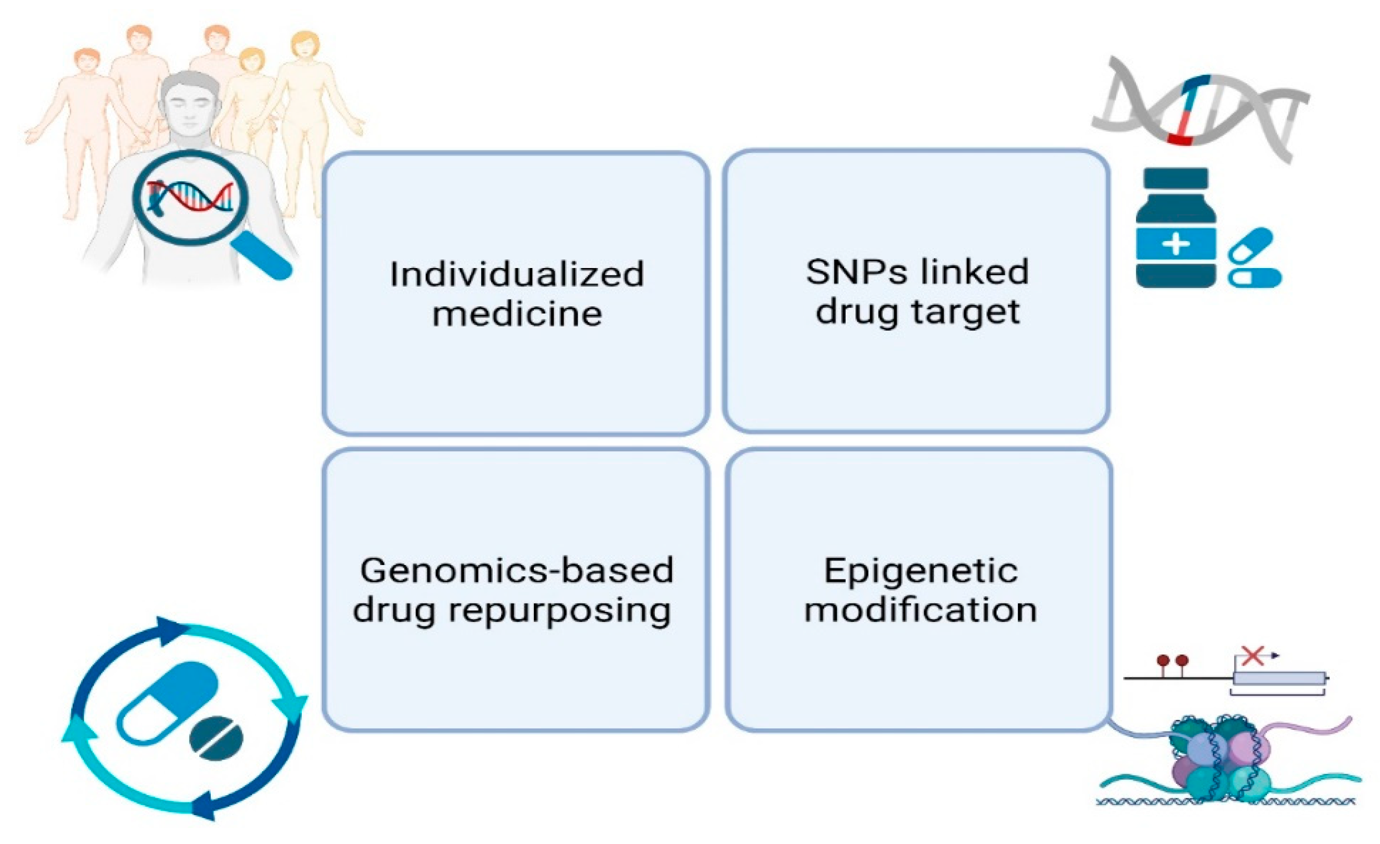 Genes 12 02004 g003