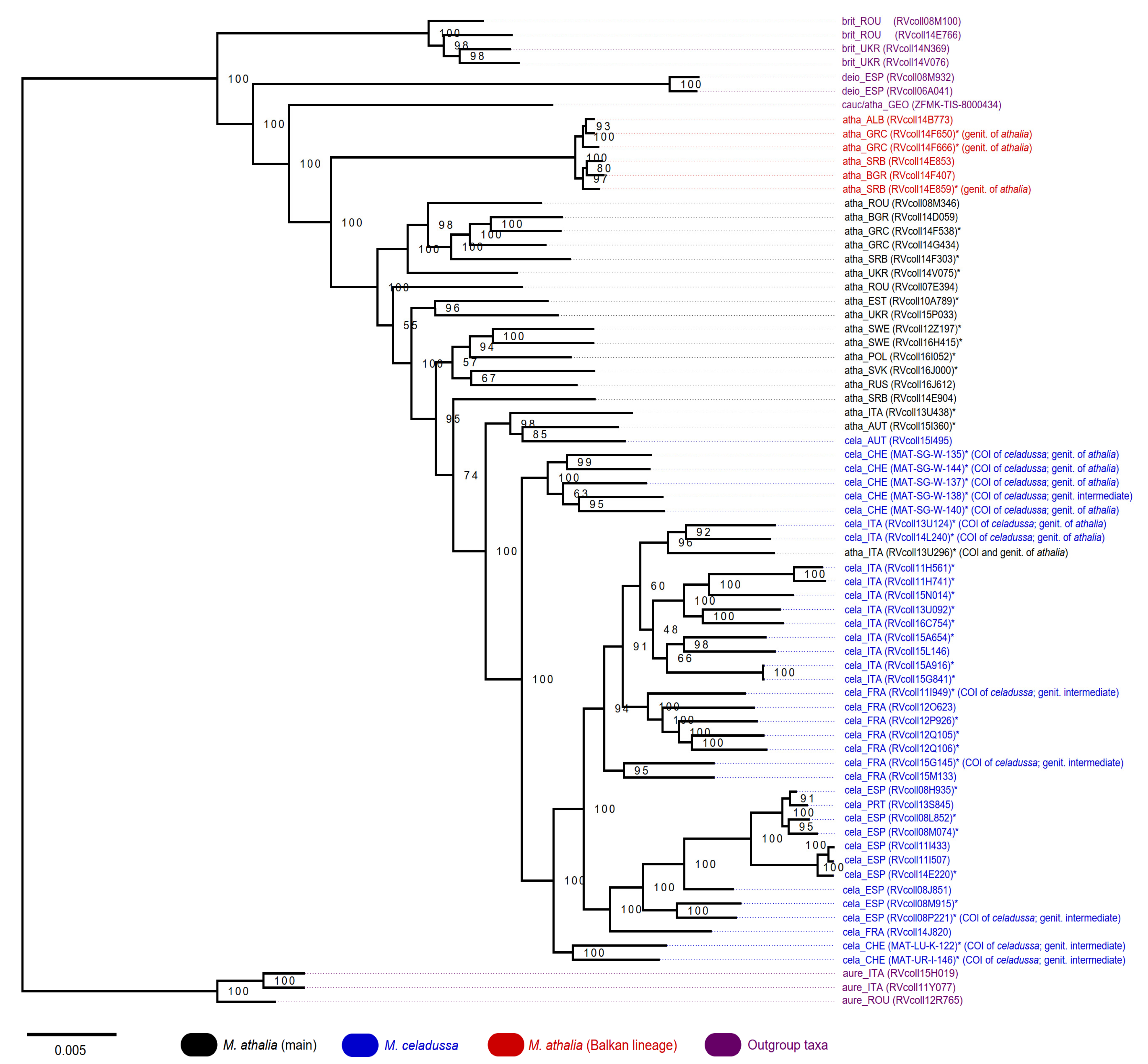 Genes 12 02009 g002