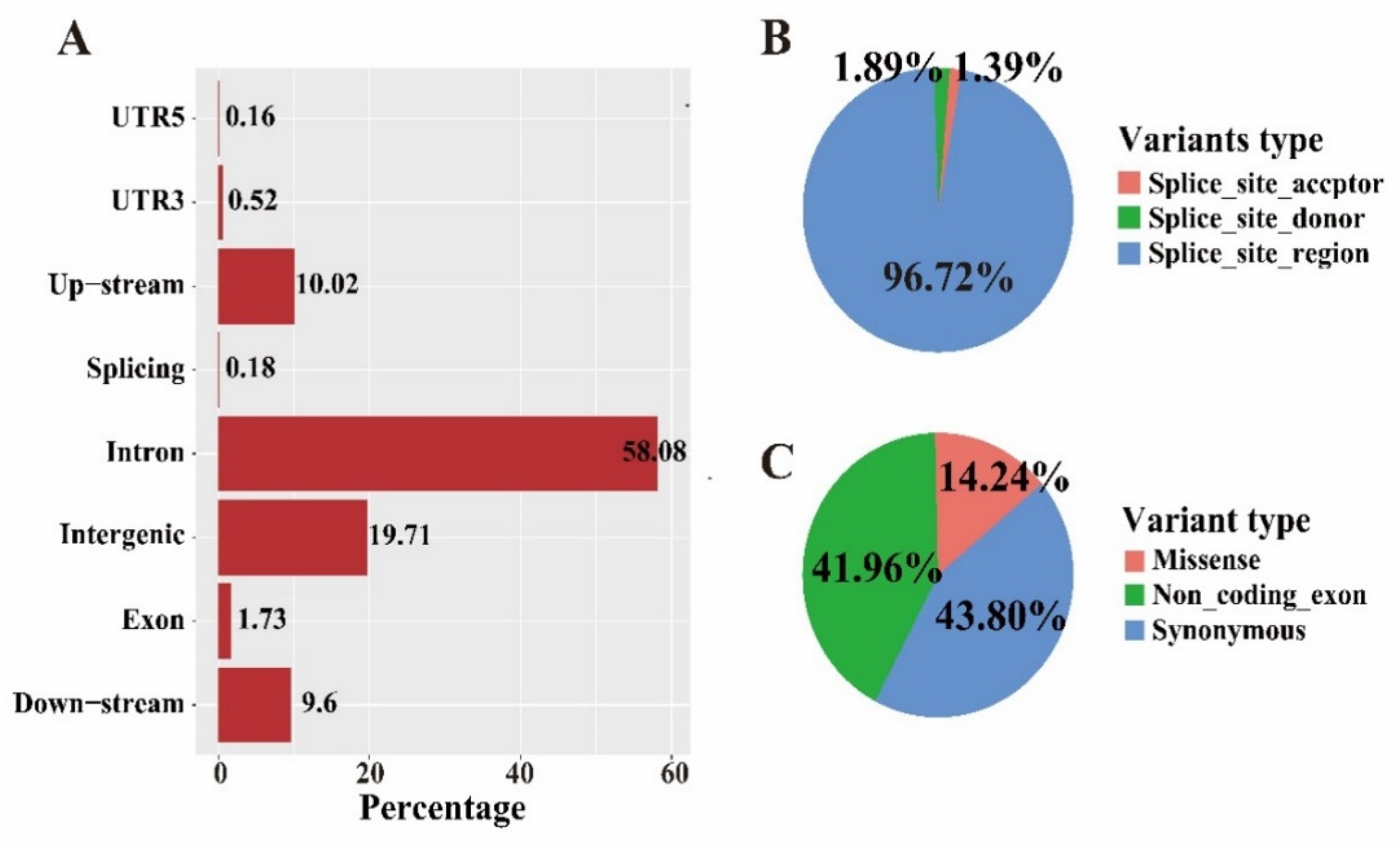Genes 13 00003 g001