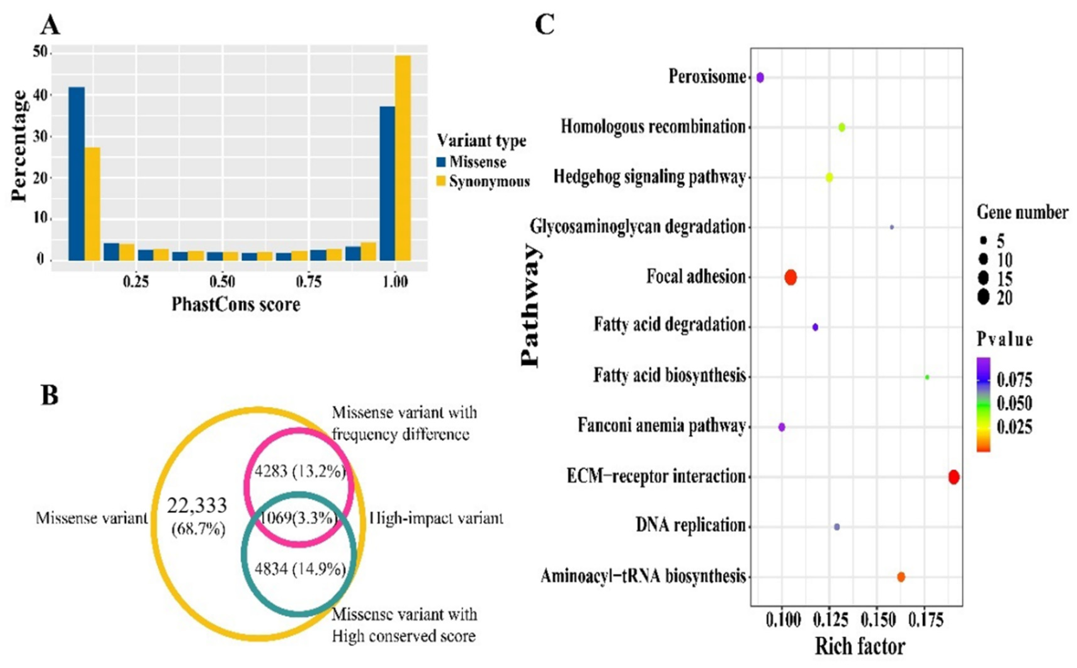 Genes 13 00003 g003