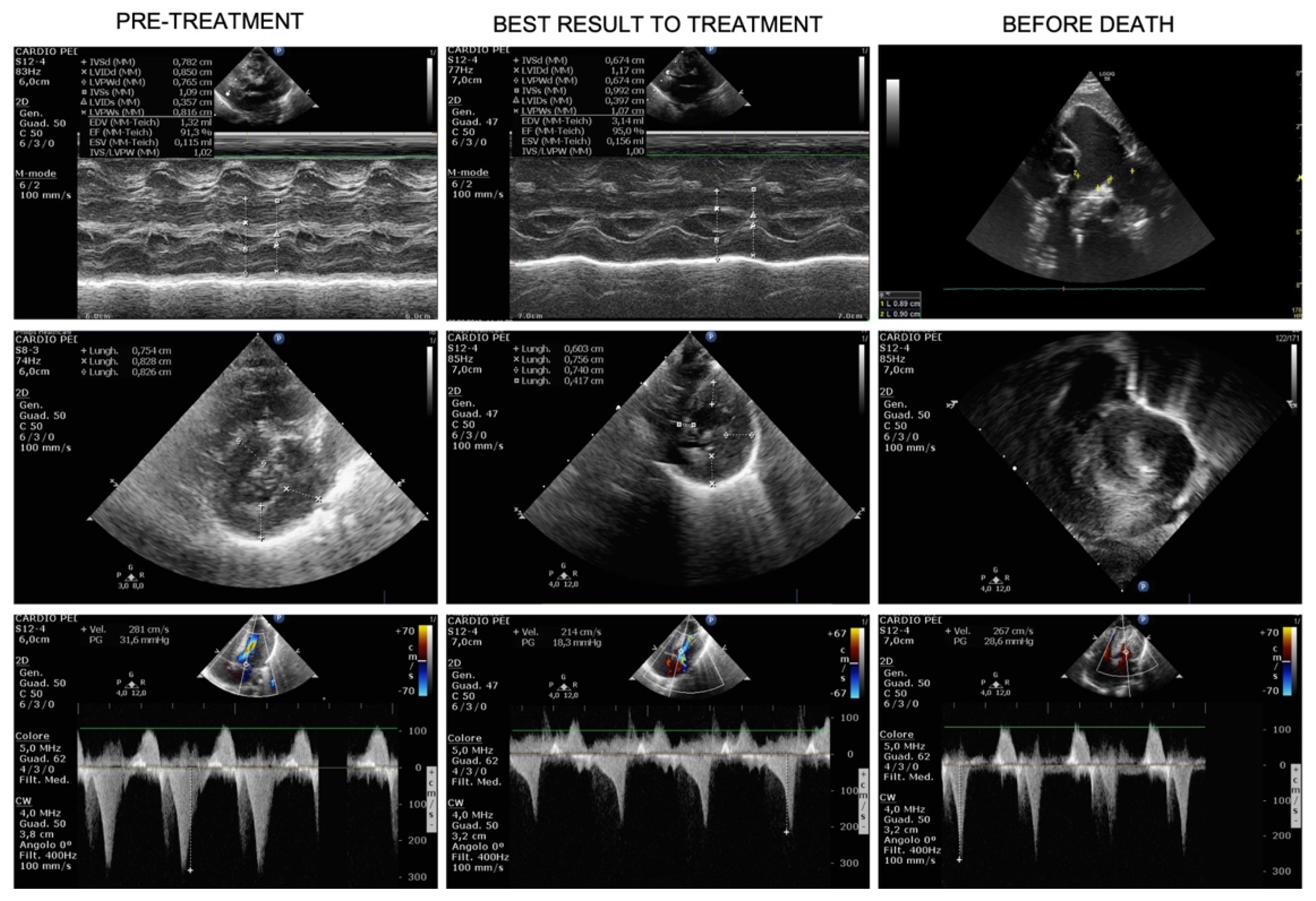 Genes 13 00006 g002 Genes 13 00006 g002