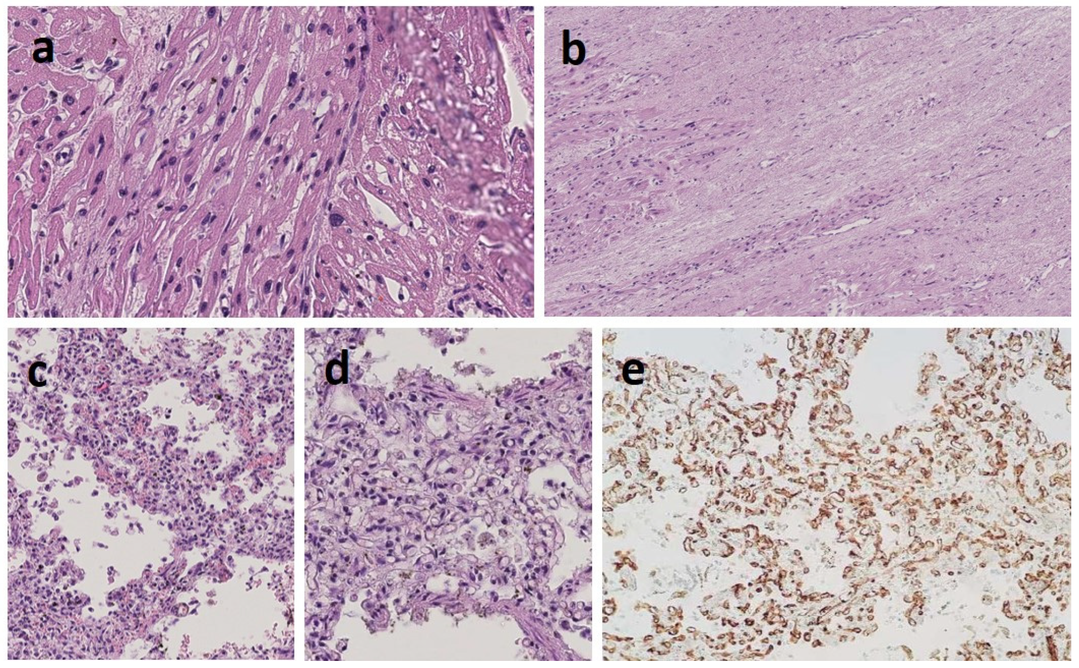 Genes 13 00006 g004 Genes 13 00006 g004