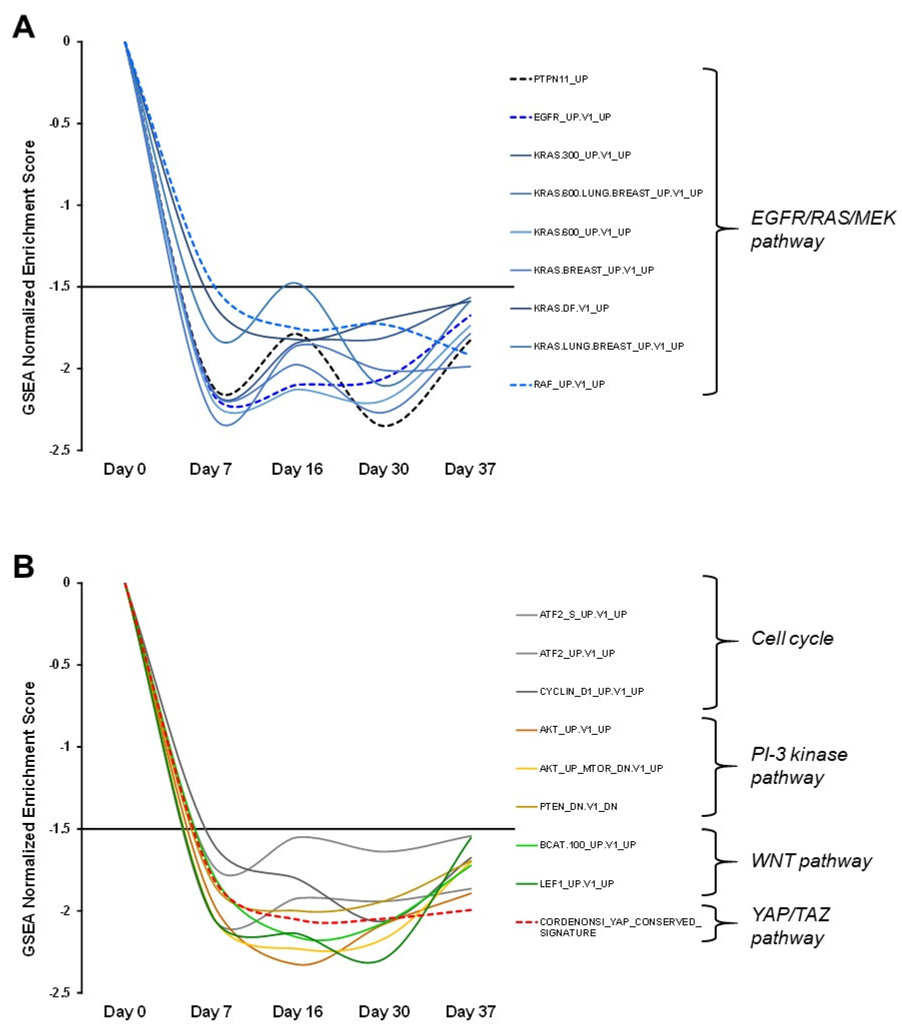 Genes 13 00006 g005 Genes 13 00006 g005