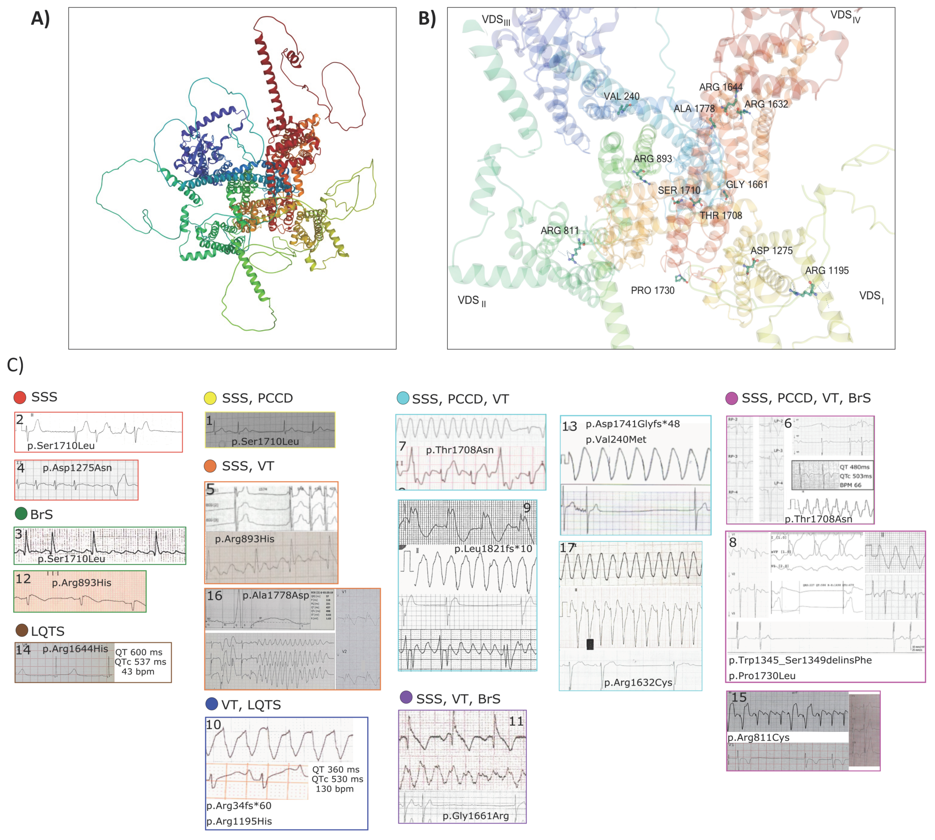 Genes 13 00016 g001