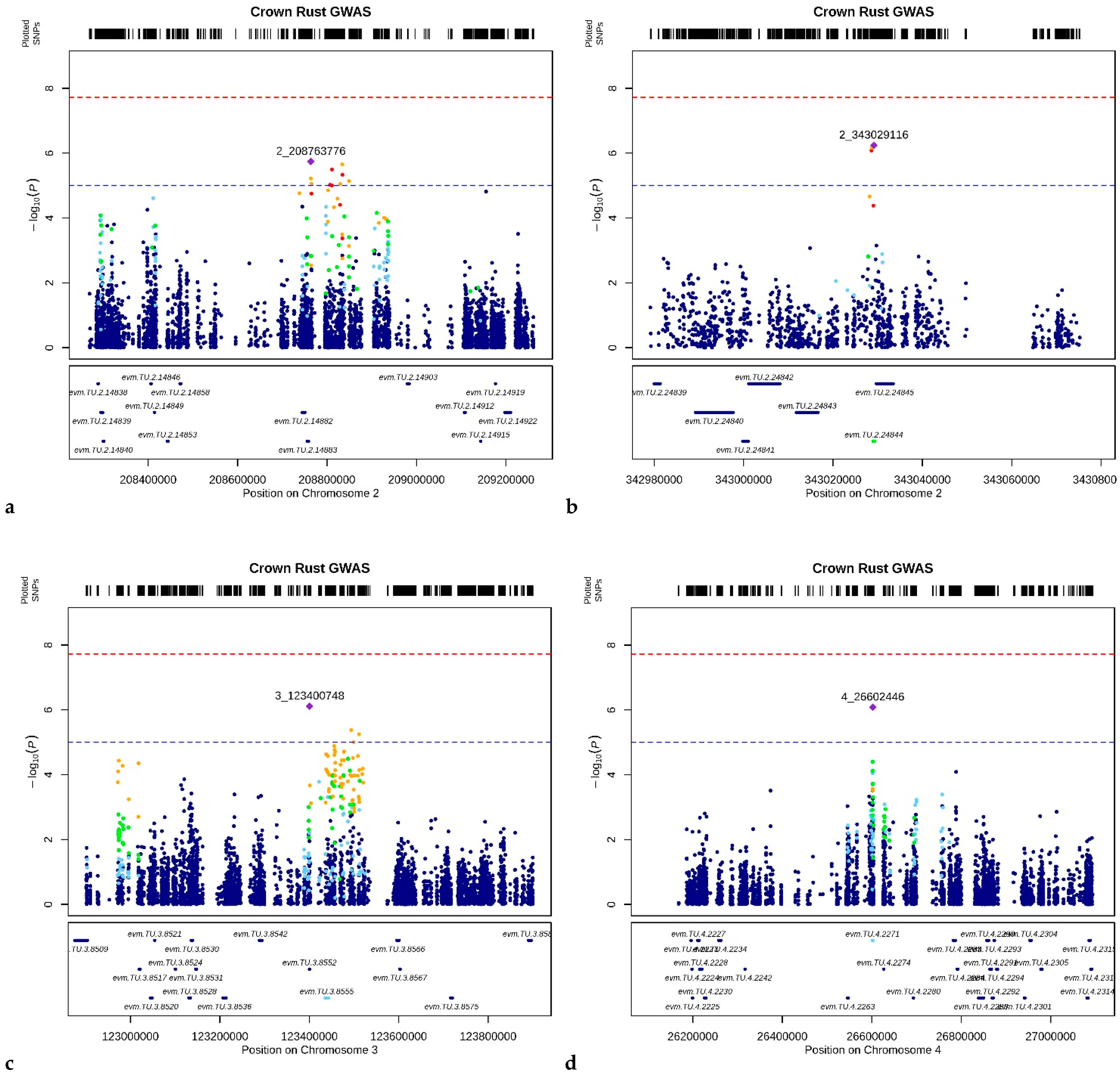 Genes 13 00020 g003a