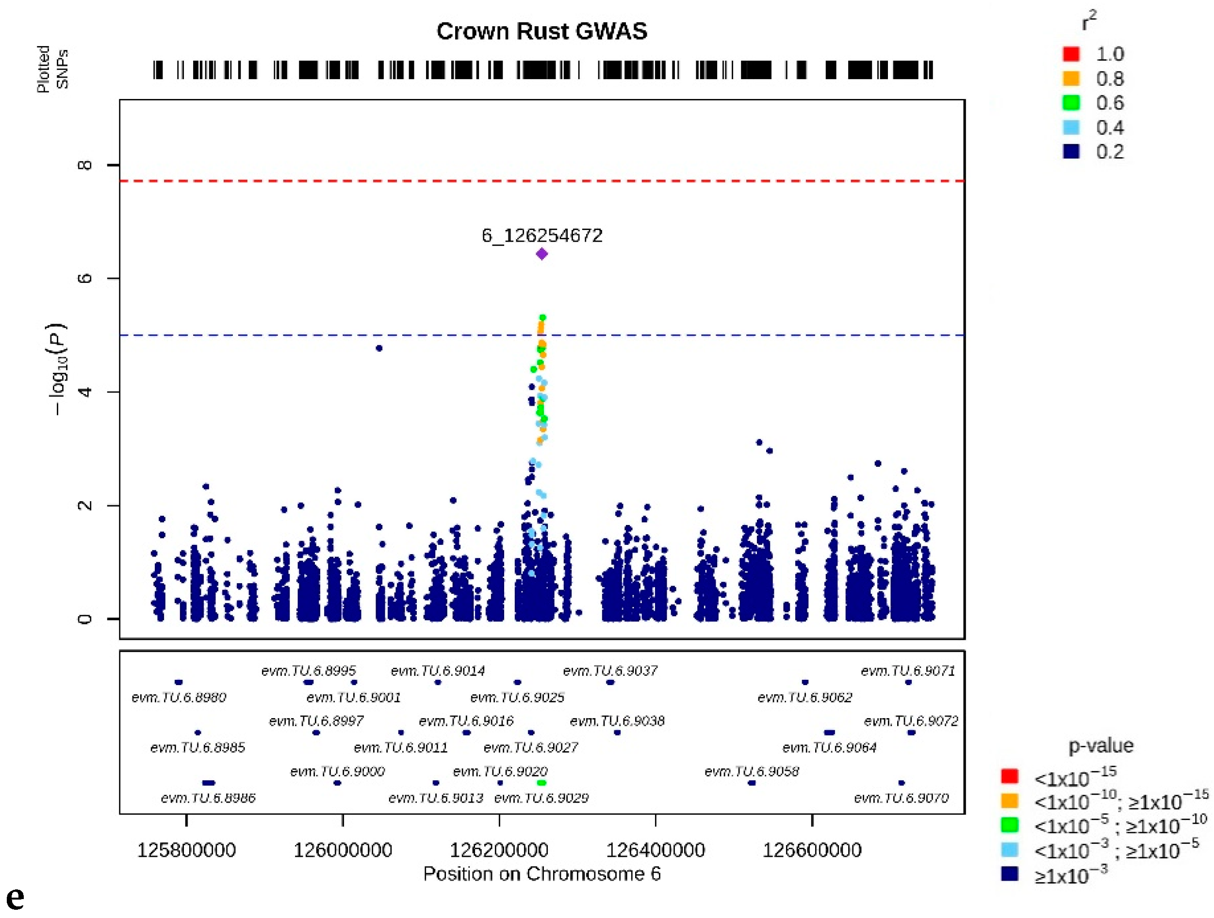 Genes 13 00020 g003b