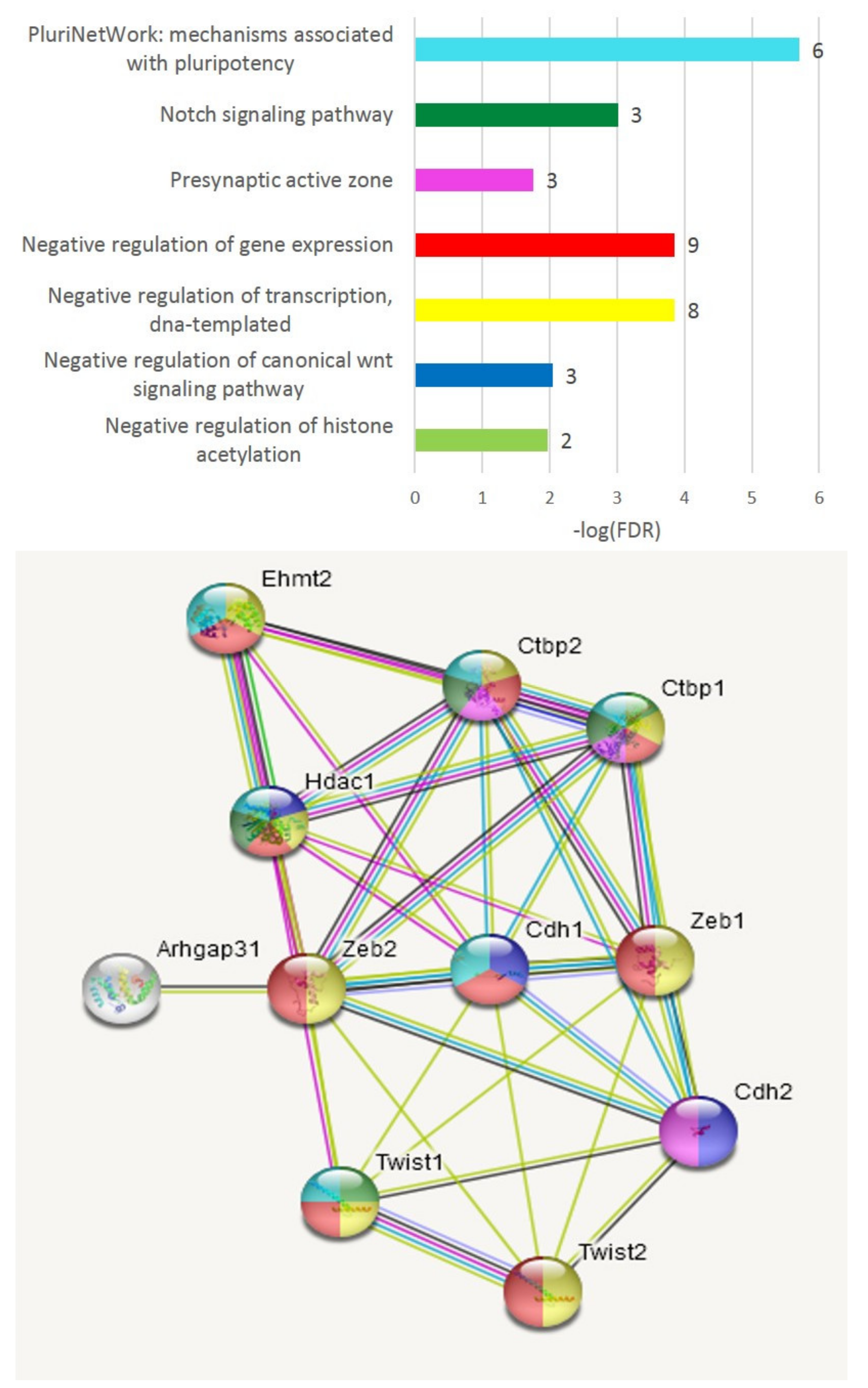 Genes 13 00021 g009