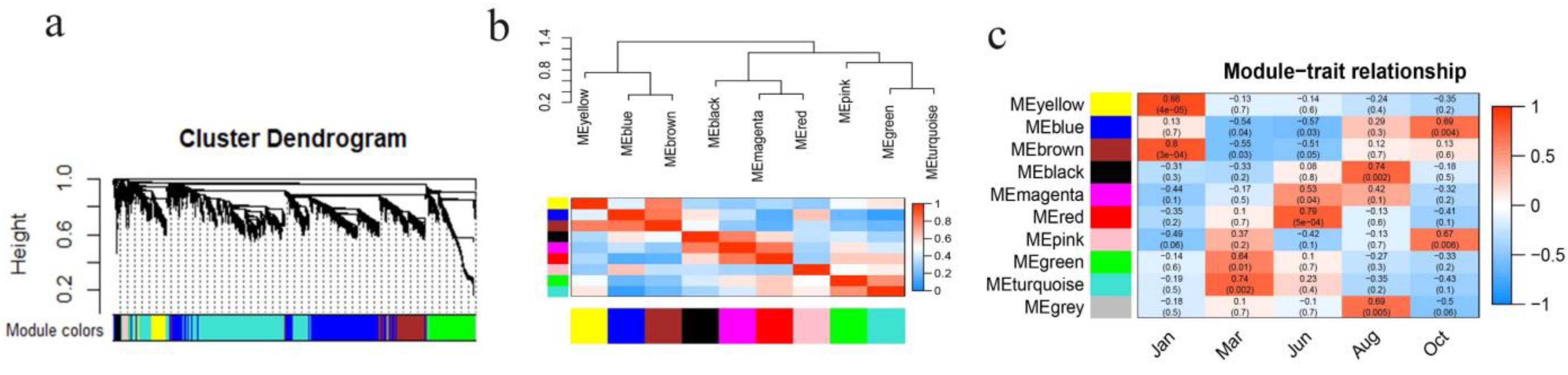 Genes 13 00032 g001 Genes 13 00032 g001