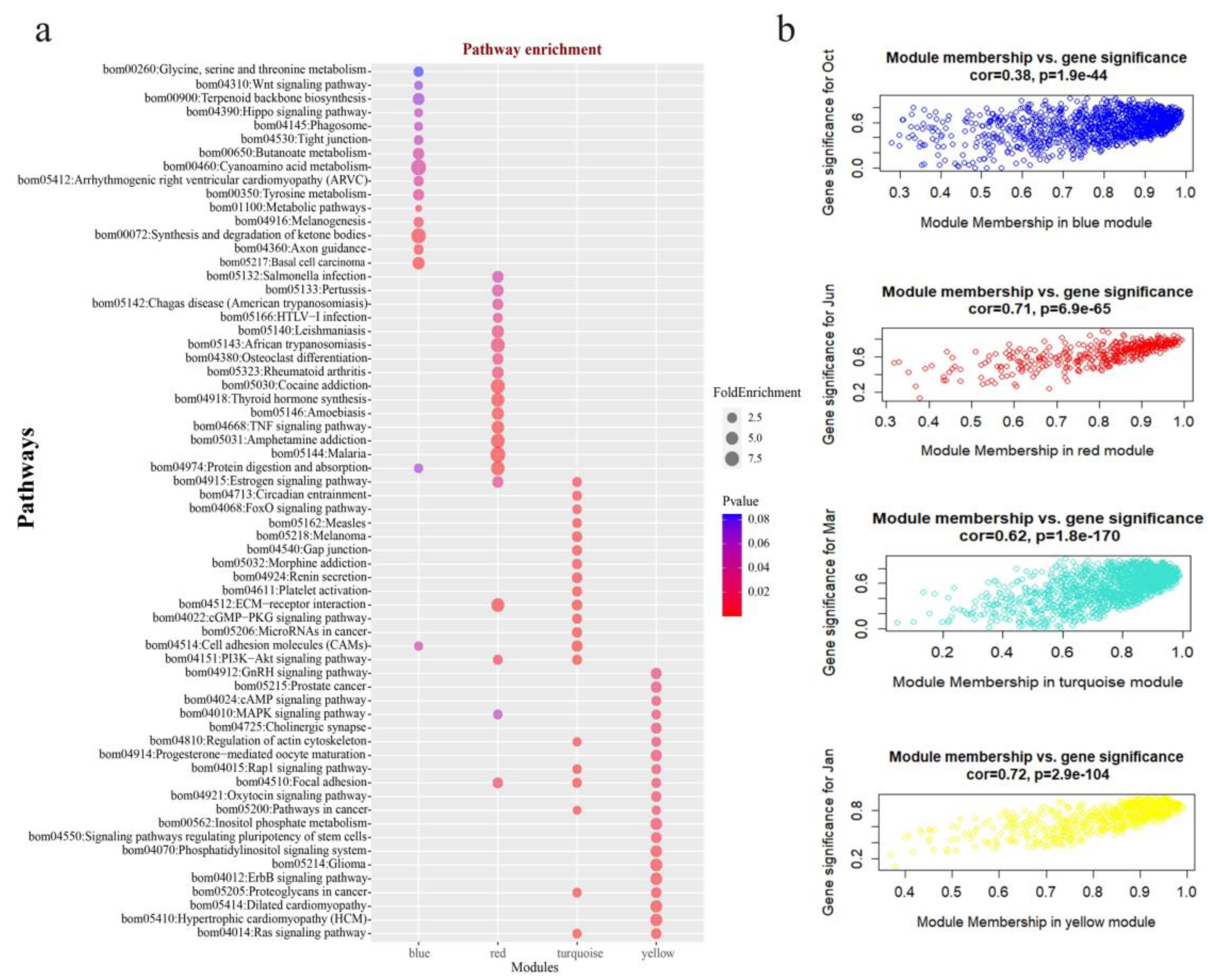 Genes 13 00032 g002 Genes 13 00032 g002