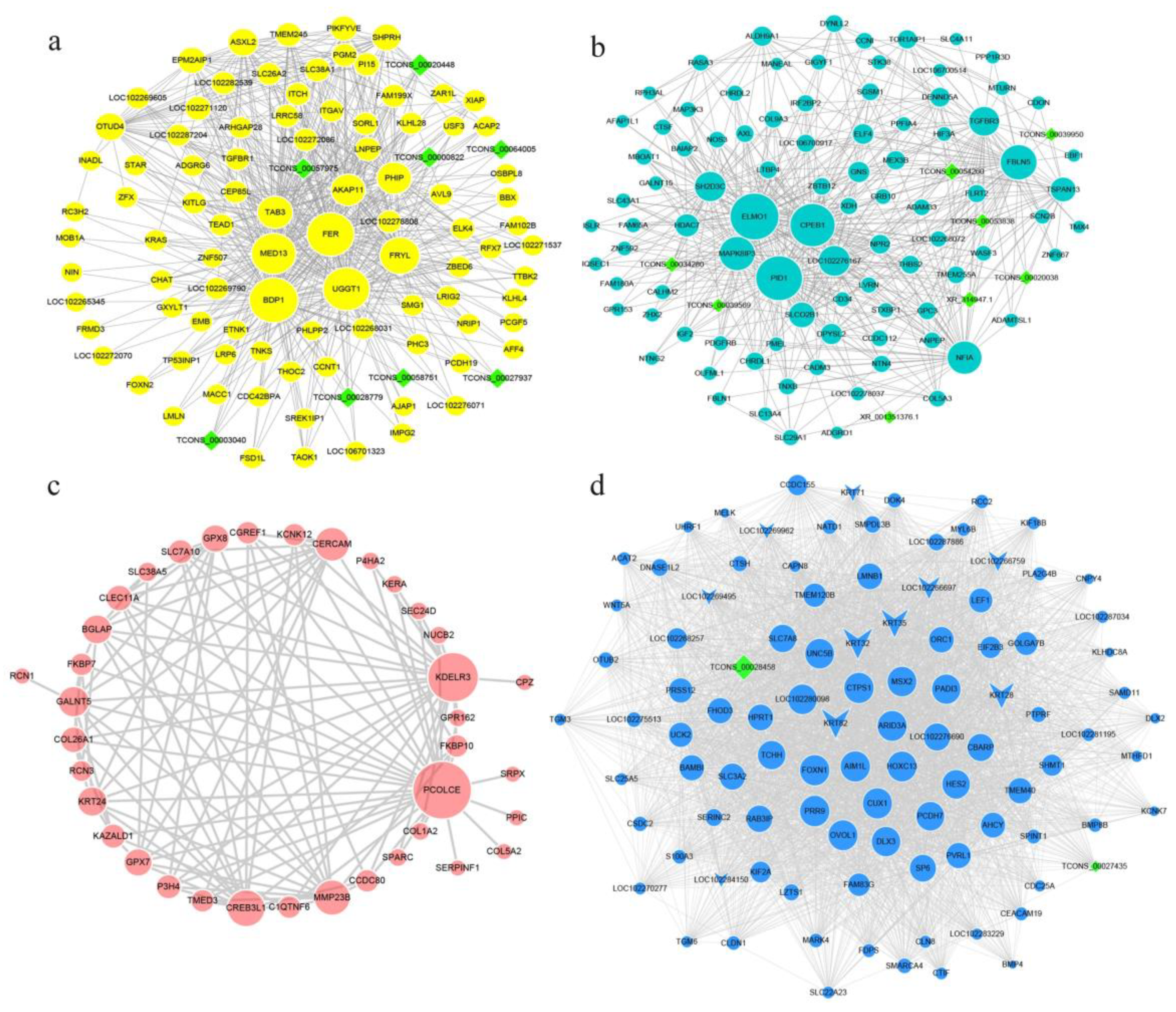 Genes 13 00032 g003 Genes 13 00032 g003