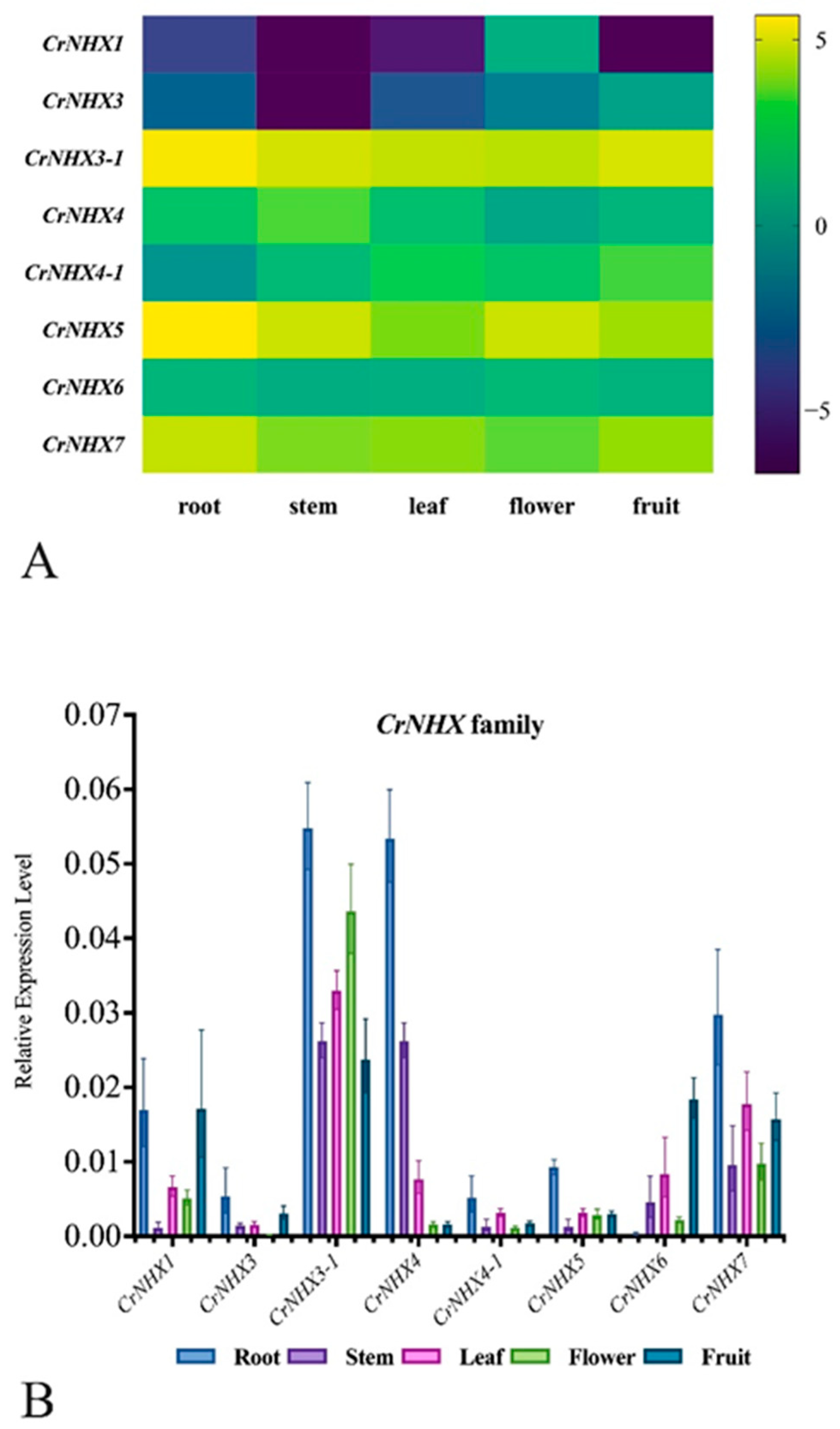Genes 13 00033 g005