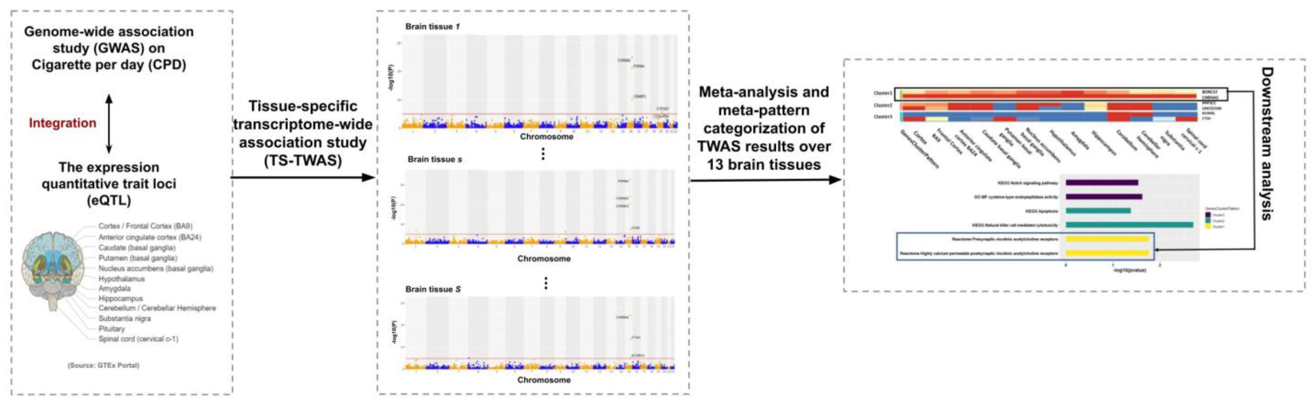 Genes 13 00037 g001