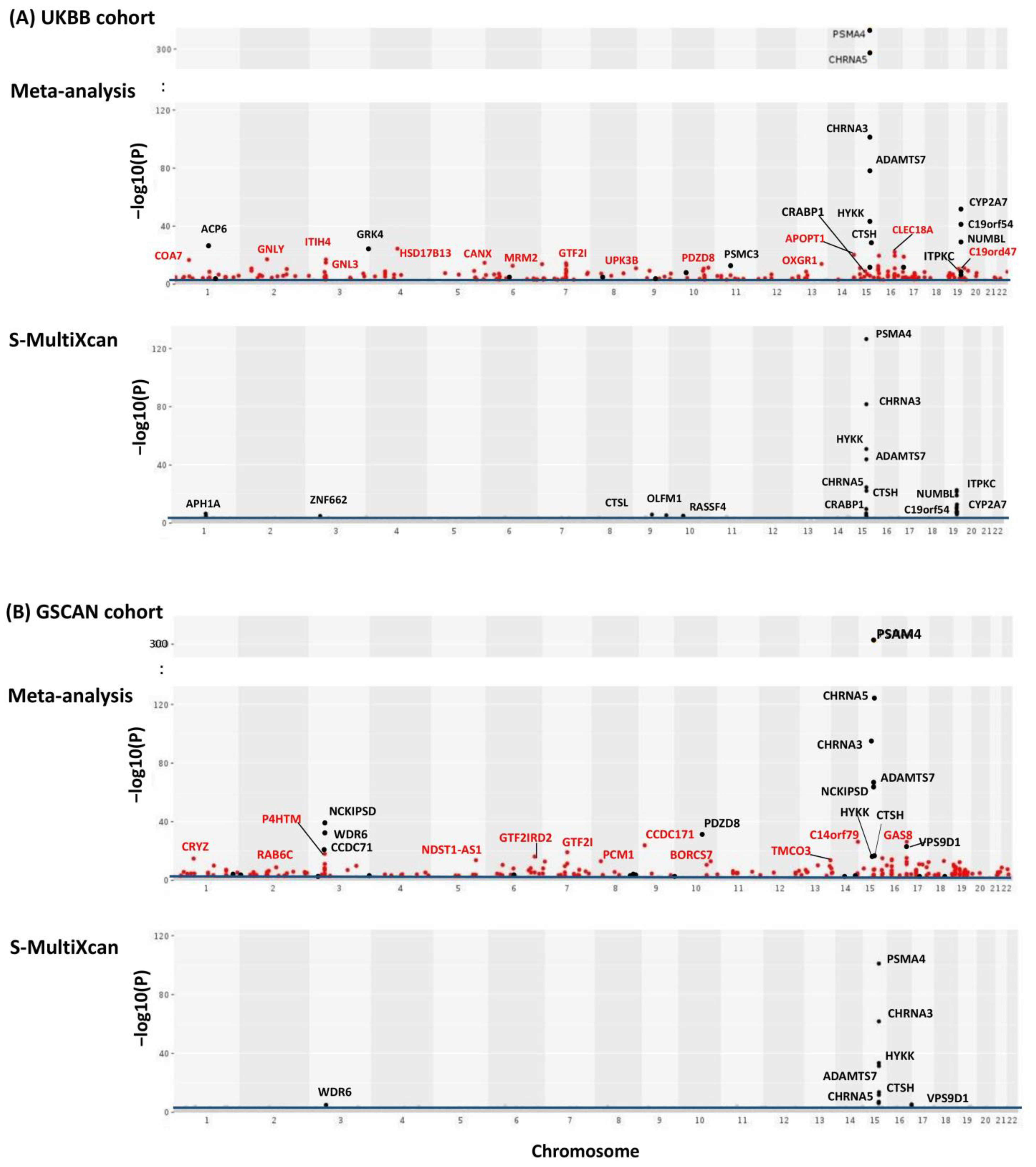 Genes 13 00037 g002