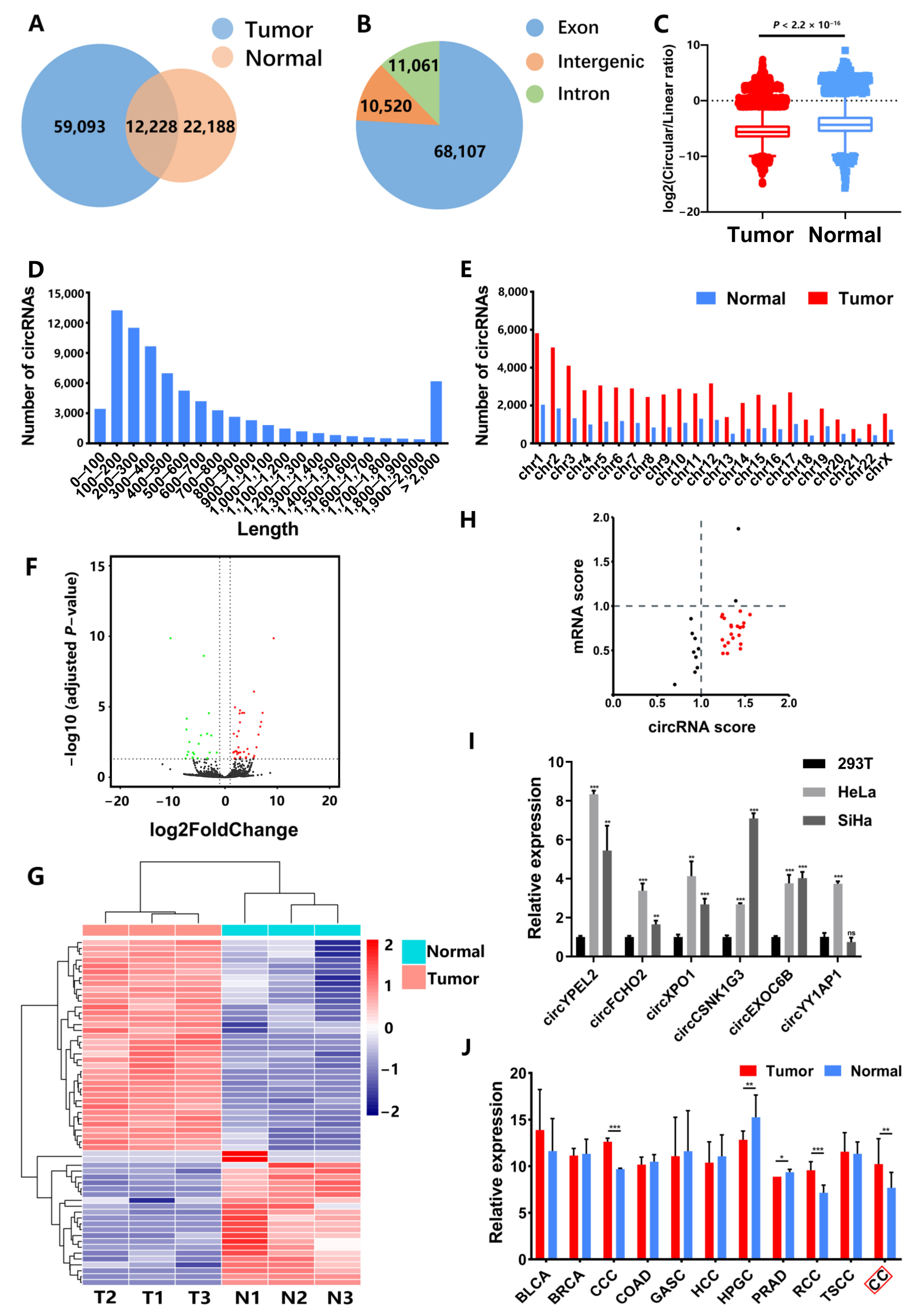 Genes 13 00038 g001