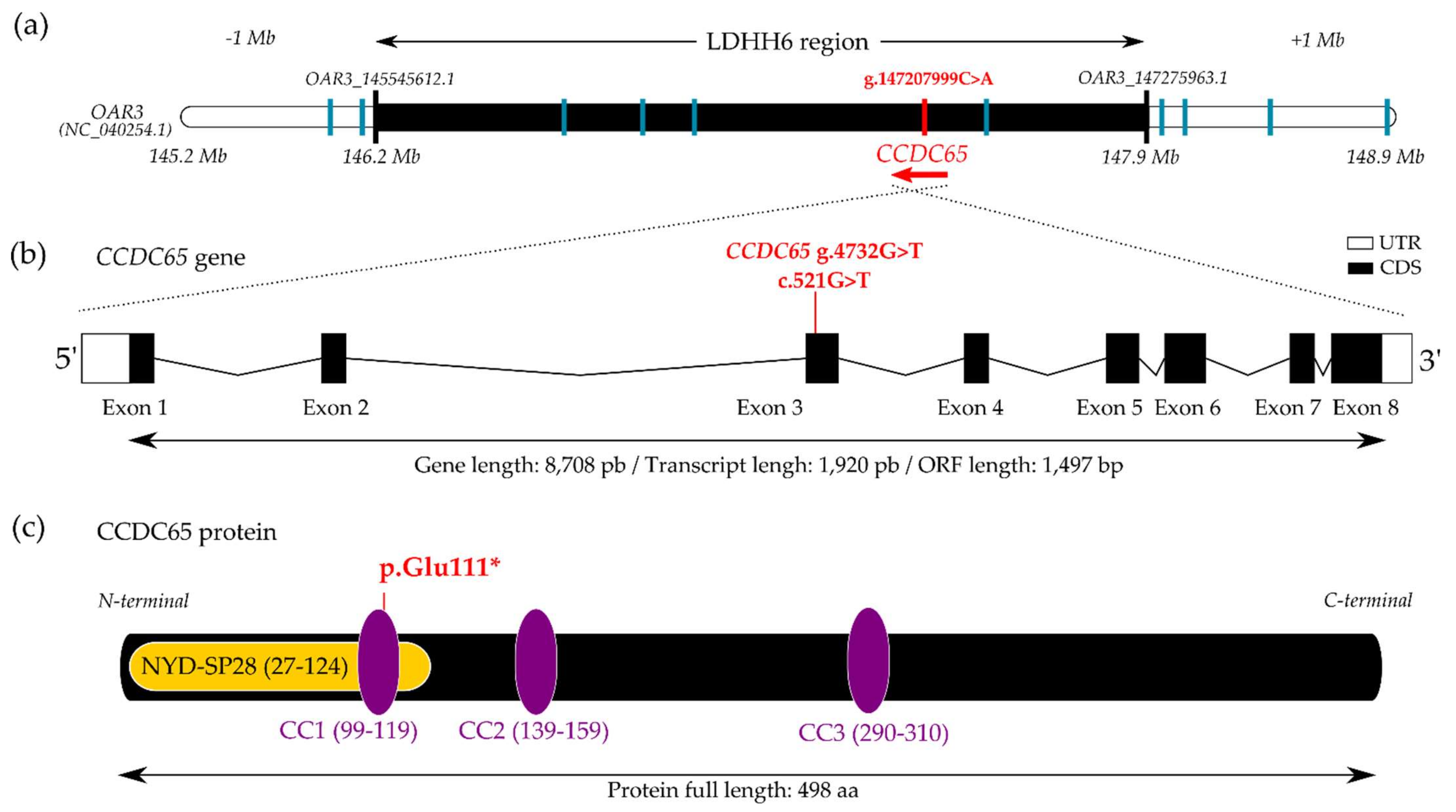 Genes 13 00045 g001