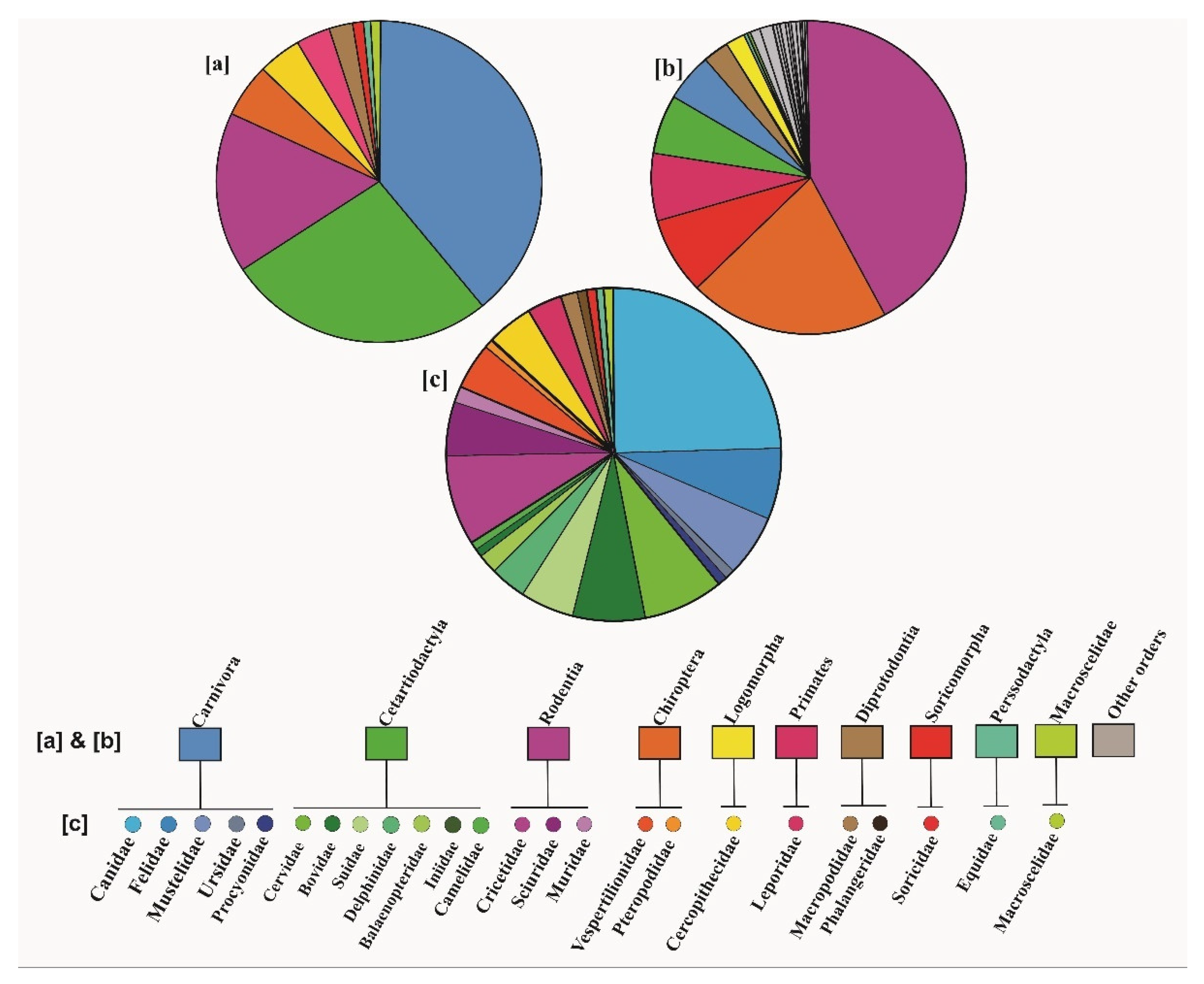Genes 13 00050 g002 Genes 13 00050 g002