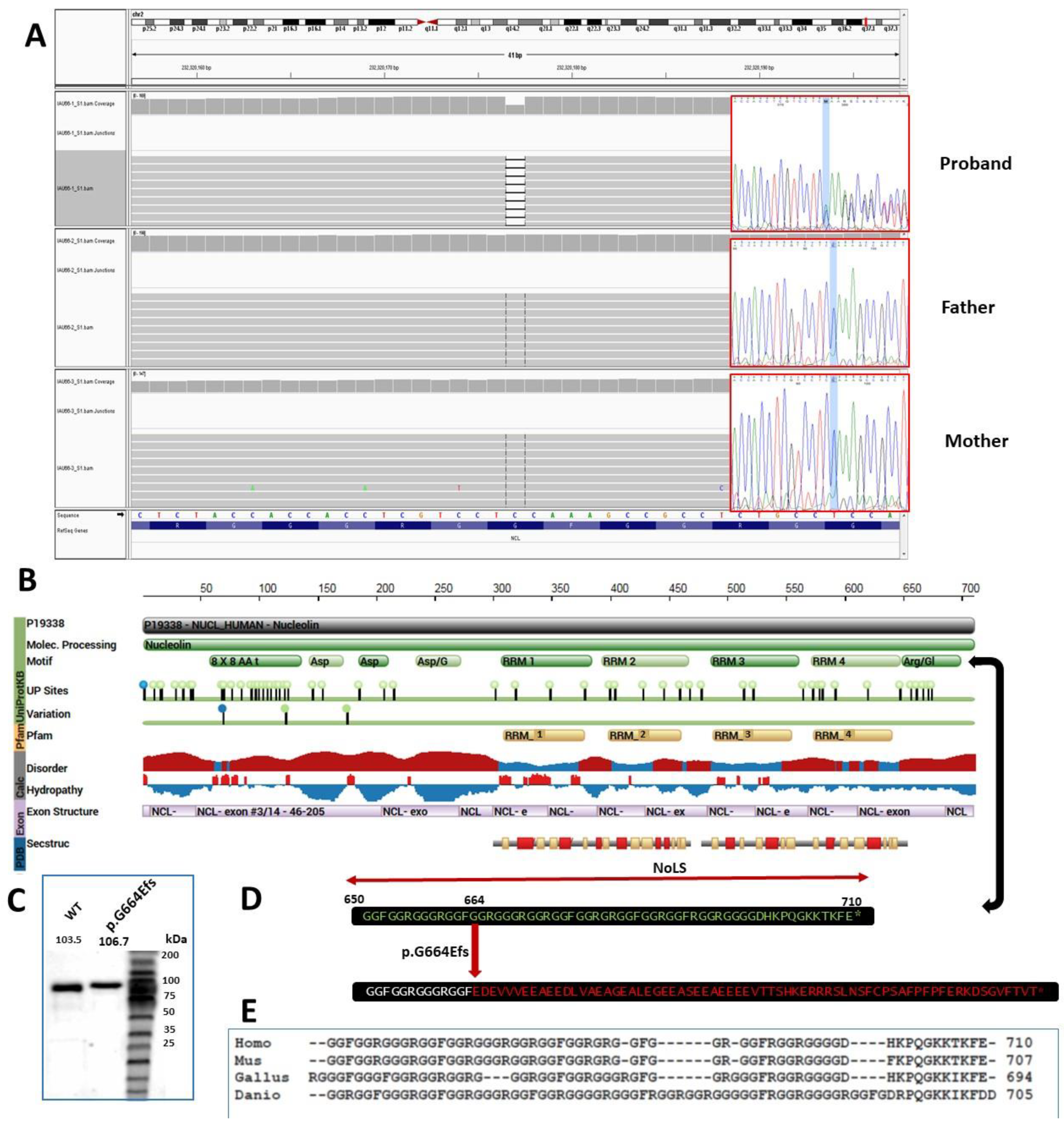 Genes 13 00051 g001 Genes 13 00051 g001