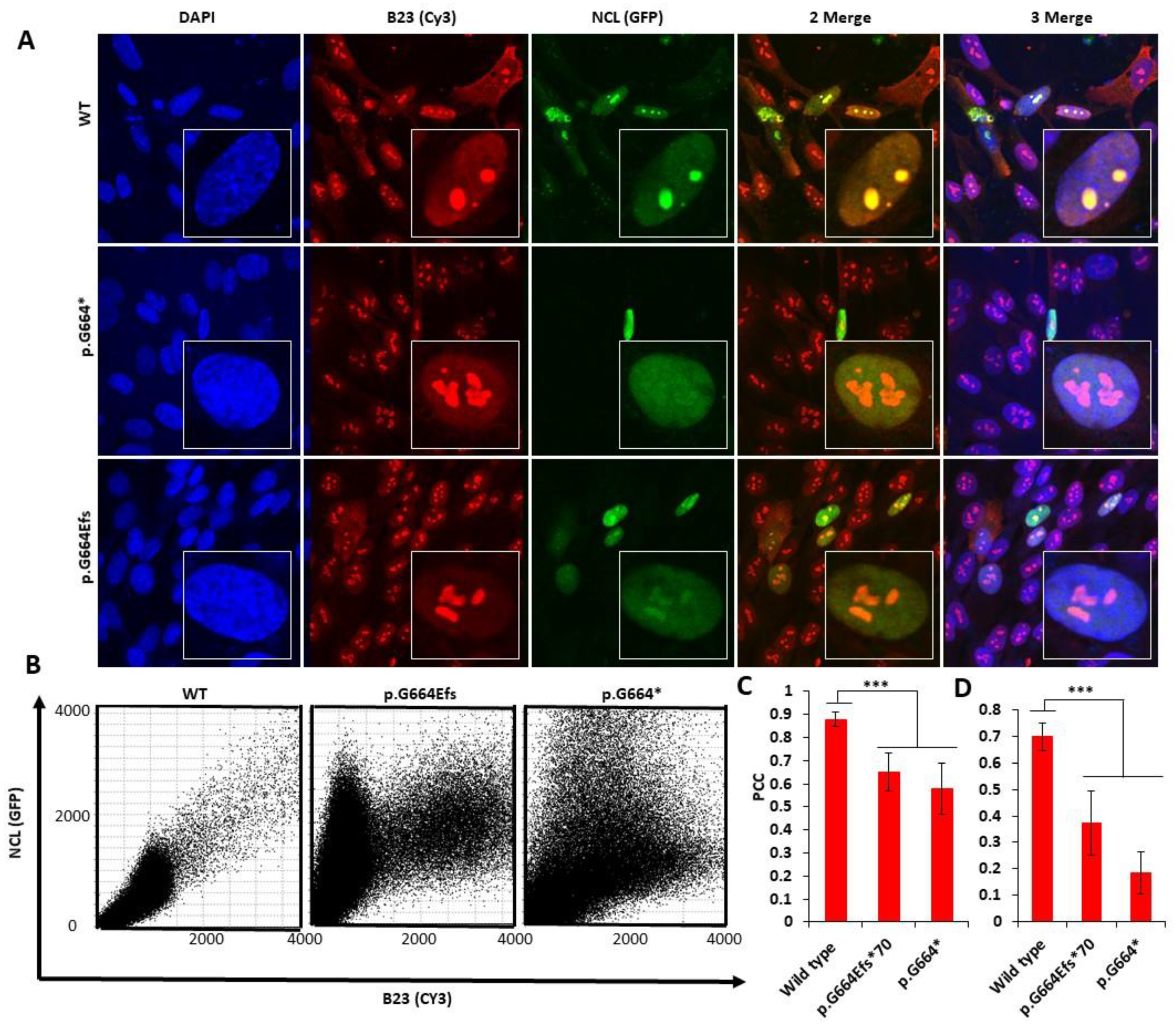 Genes 13 00051 g002 Genes 13 00051 g002