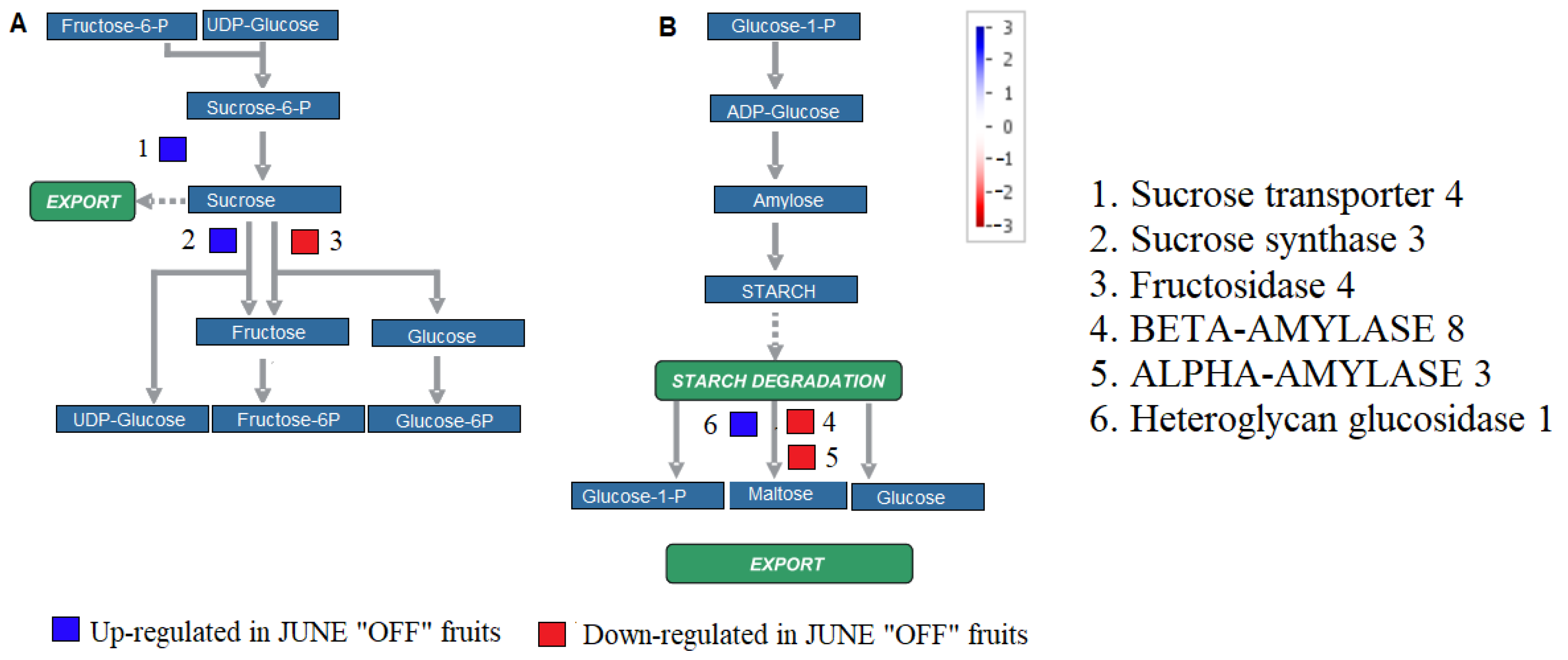Genes 13 00060 g001