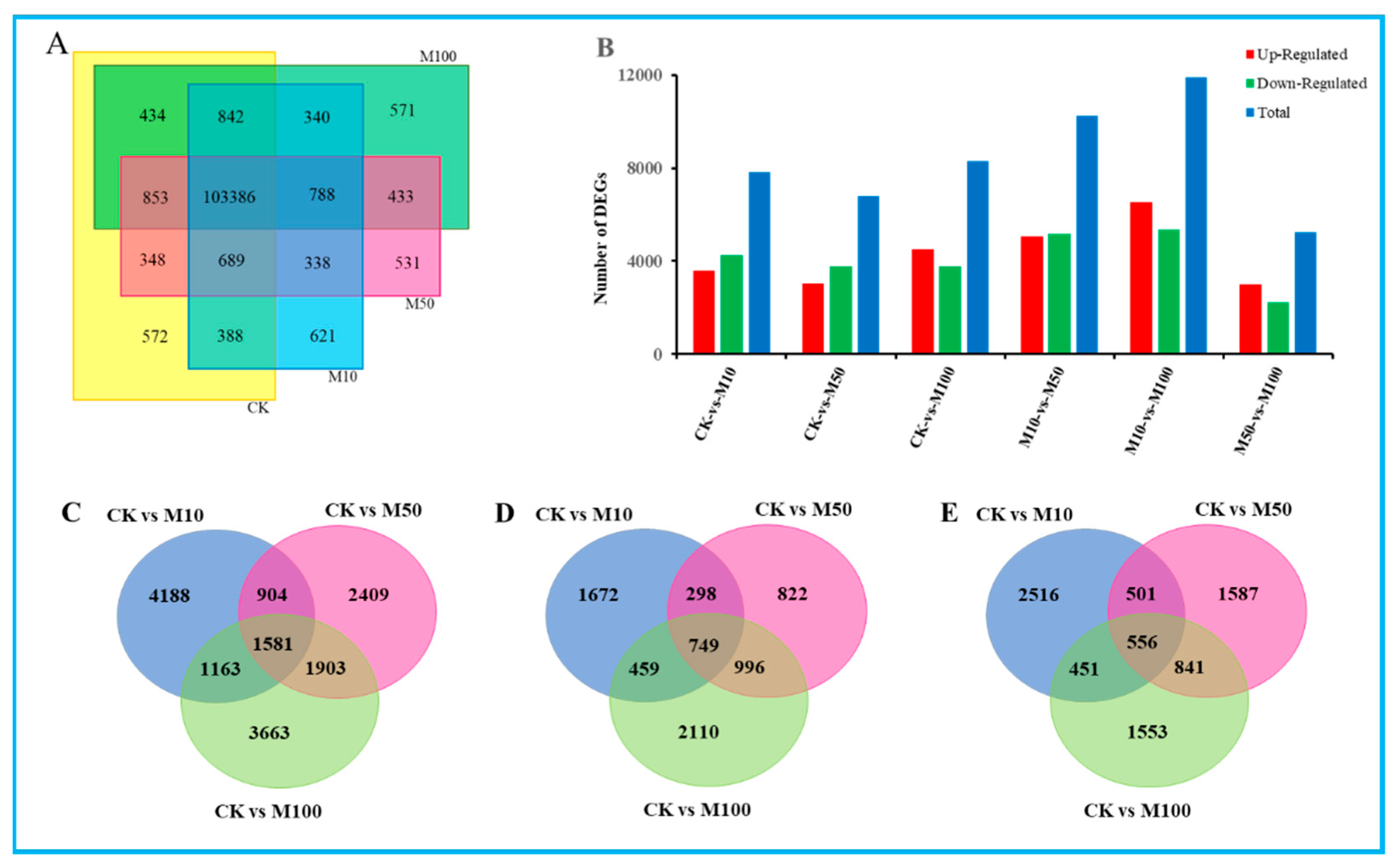 Genes 13 00067 g002