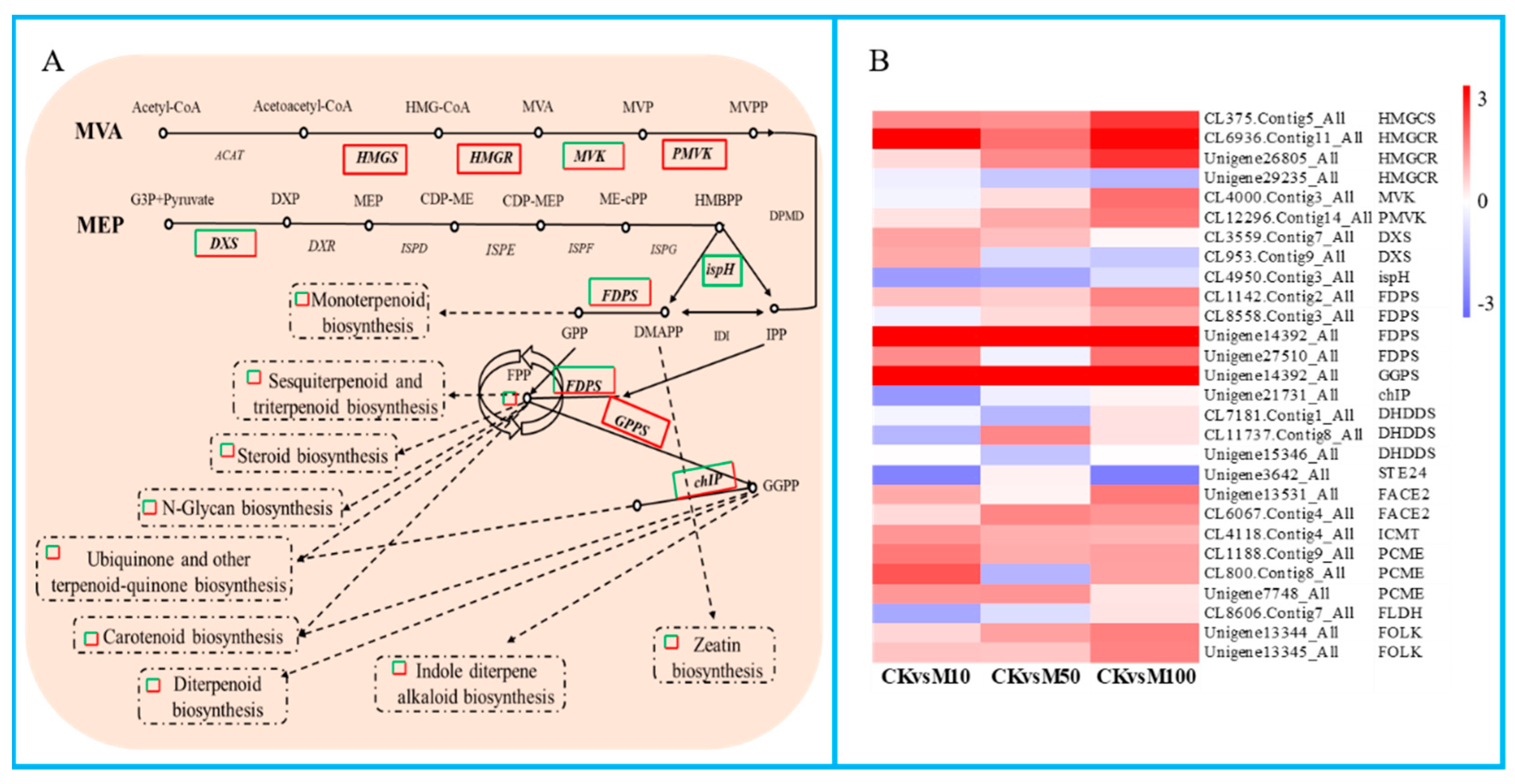Genes 13 00067 g006