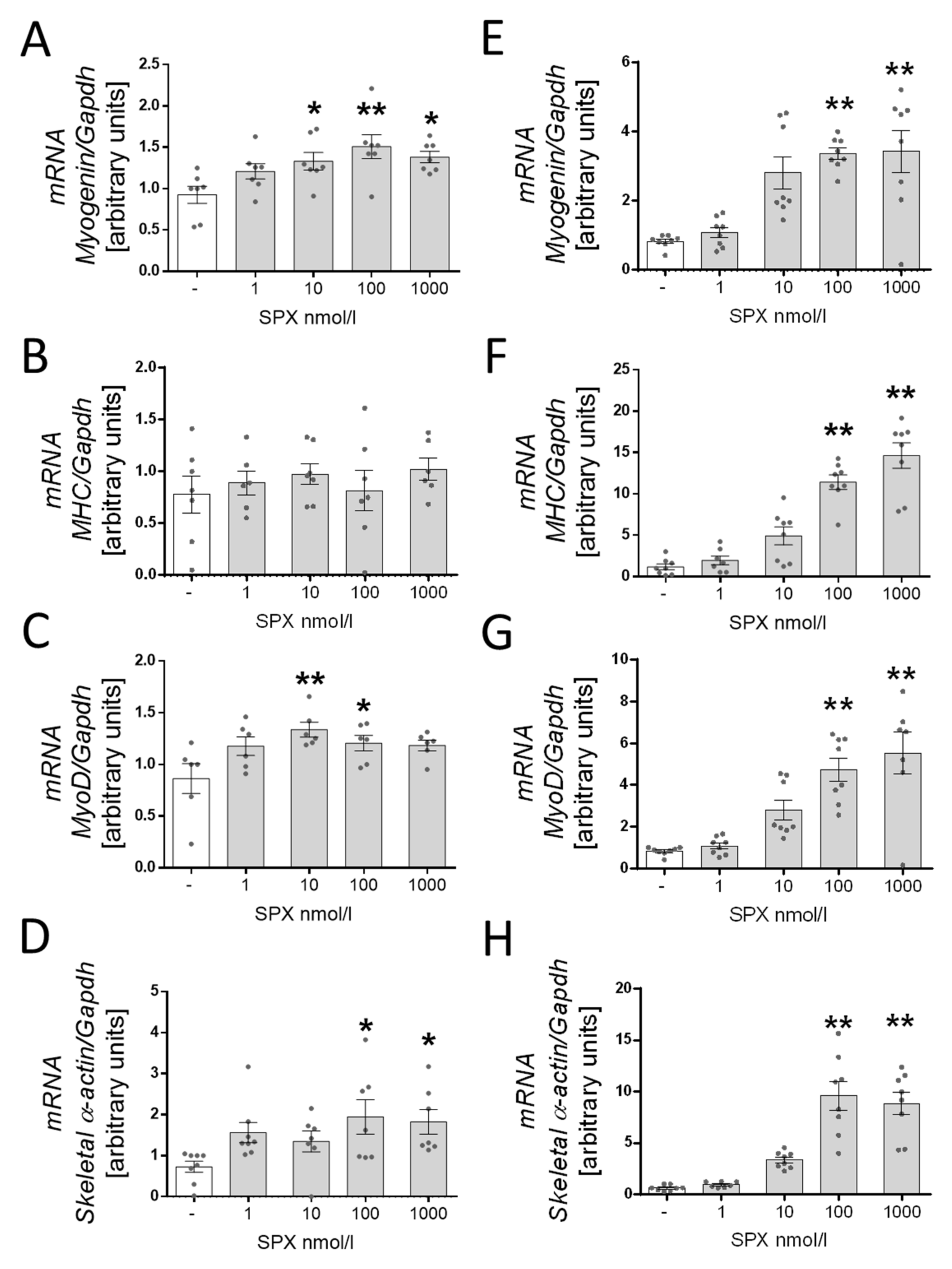 Genes 13 00081 g003 Genes 13 00081 g003