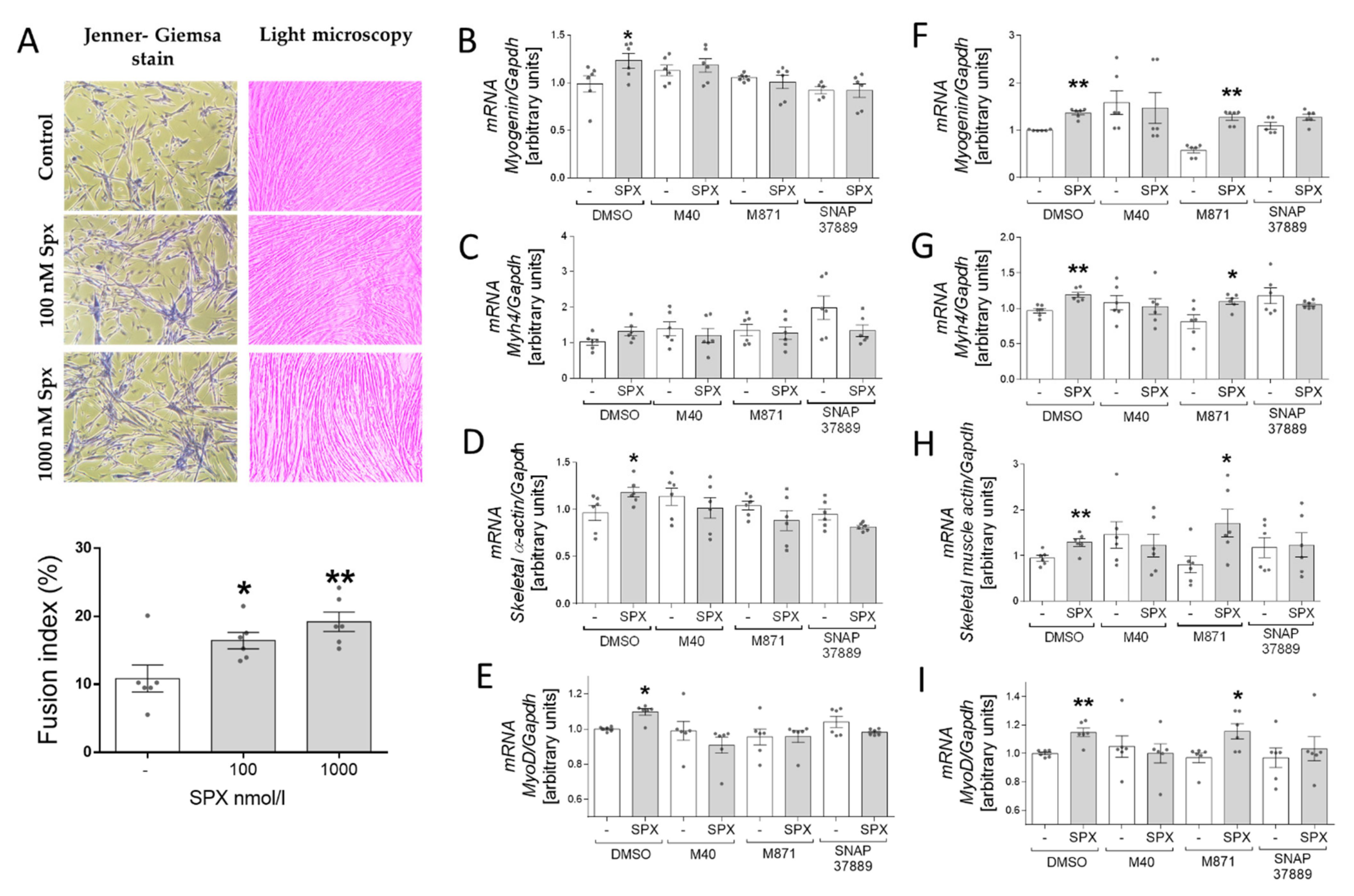 Genes 13 00081 g005 Genes 13 00081 g005