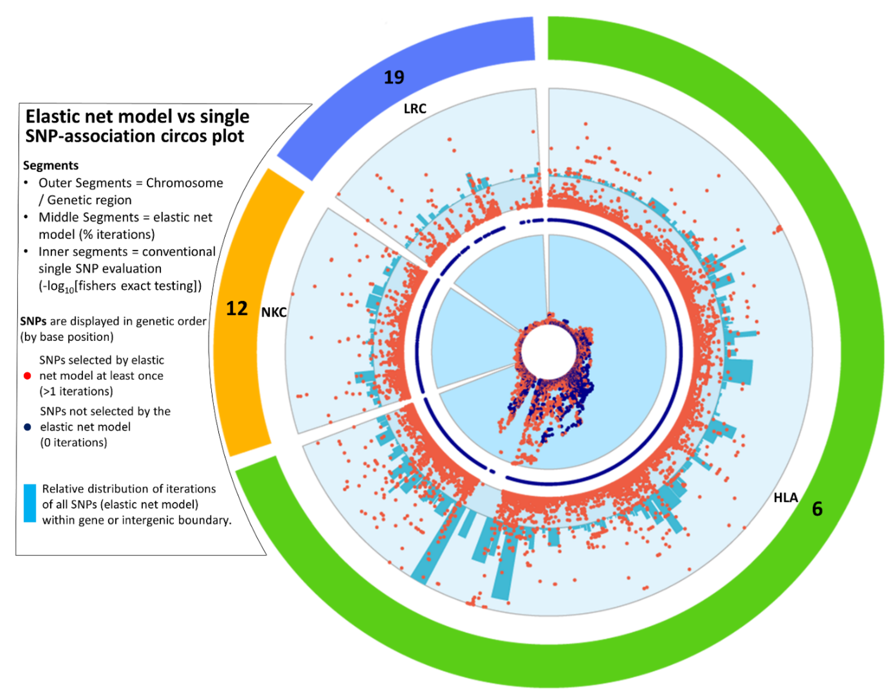 Genes 13 00087 g004