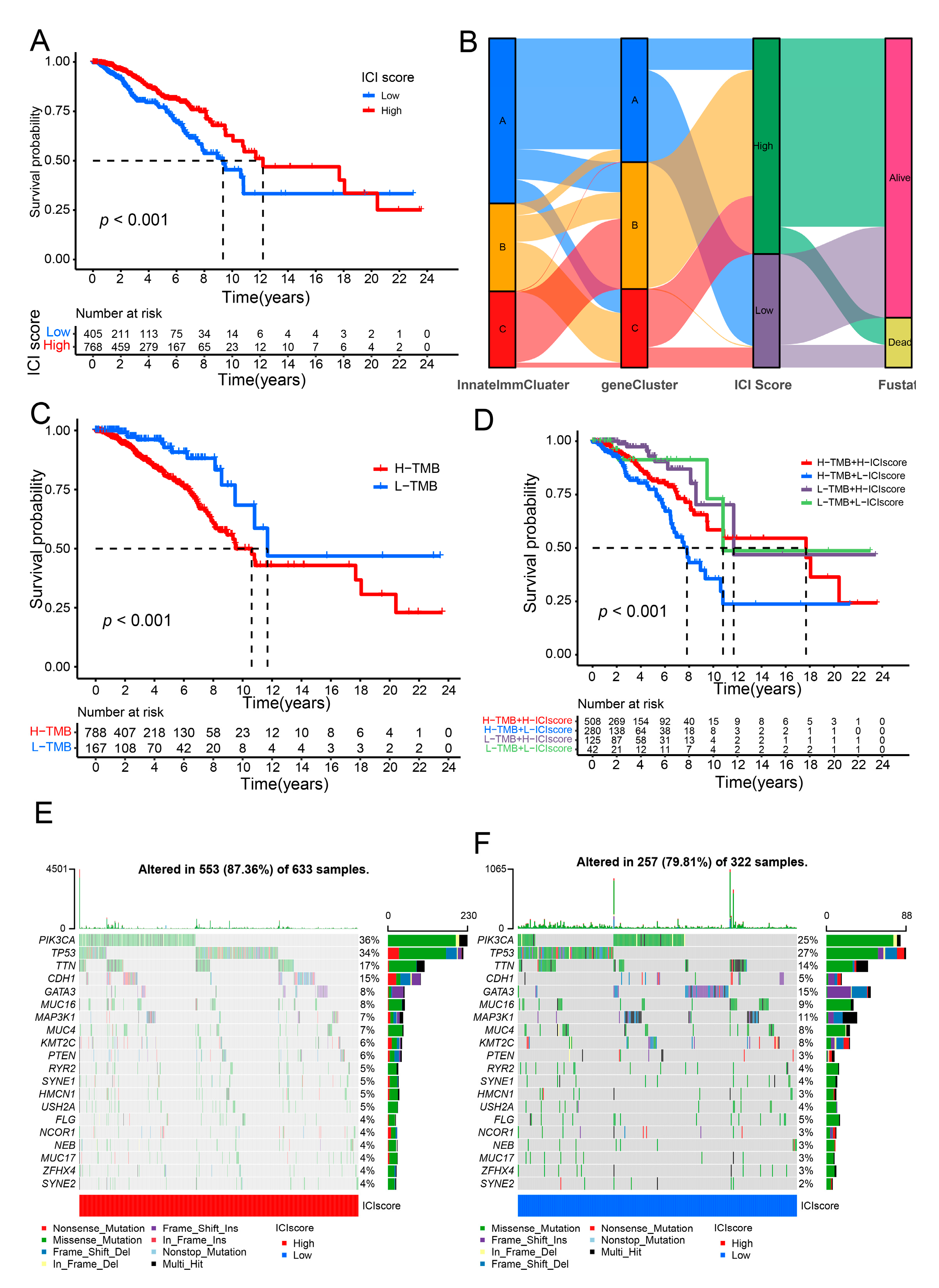 Genes 13 00088 g003 Genes 13 00088 g003