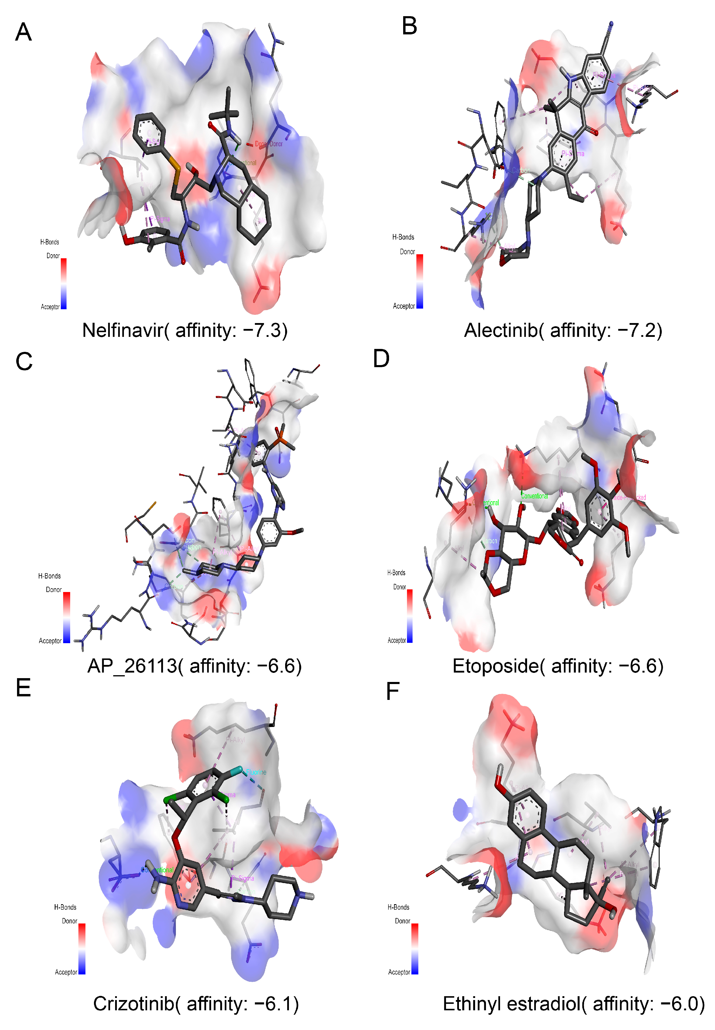 Genes 13 00088 g007 Genes 13 00088 g007