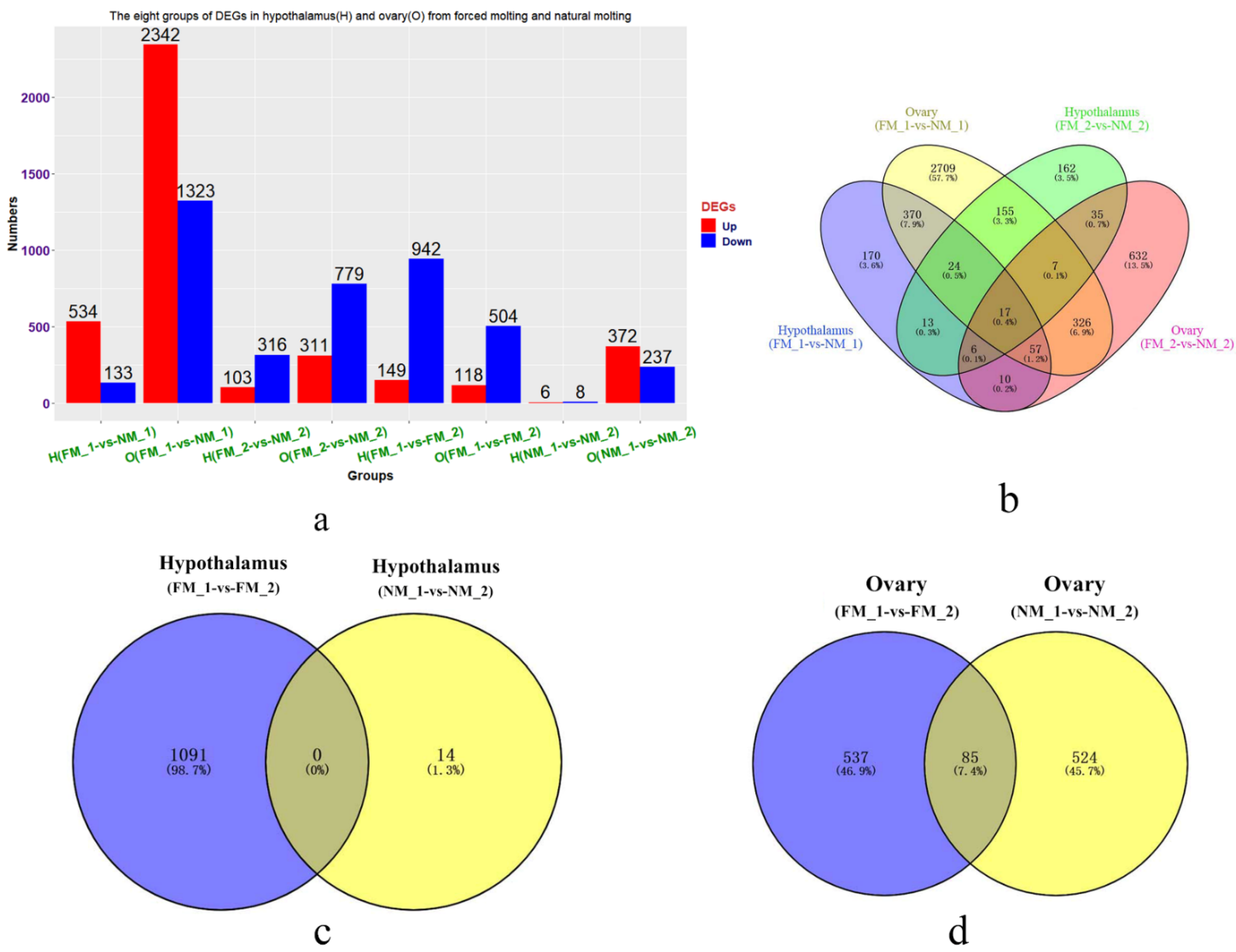 Genes 13 00089 g003