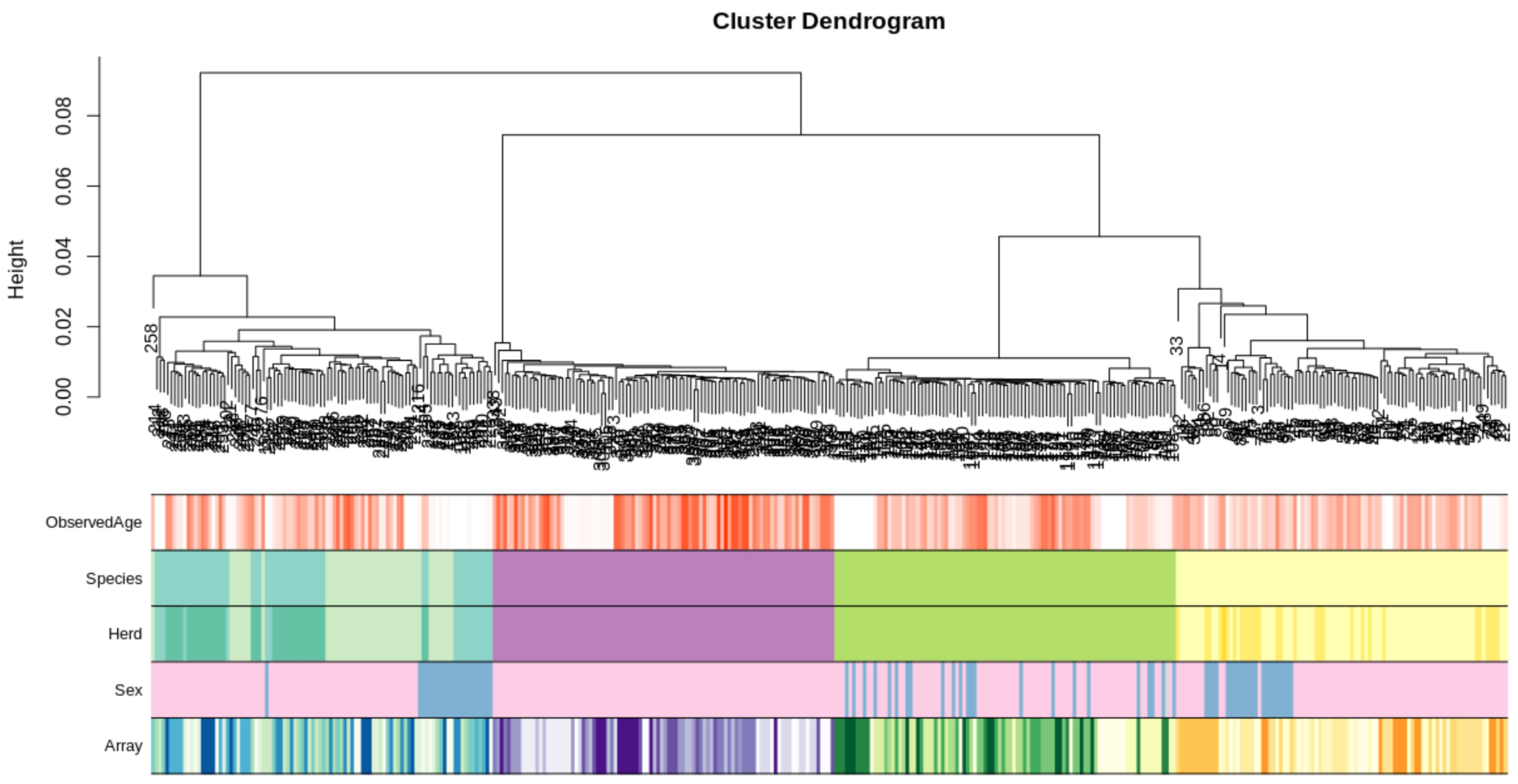 Genes 13 00096 g001 Genes 13 00096 g001