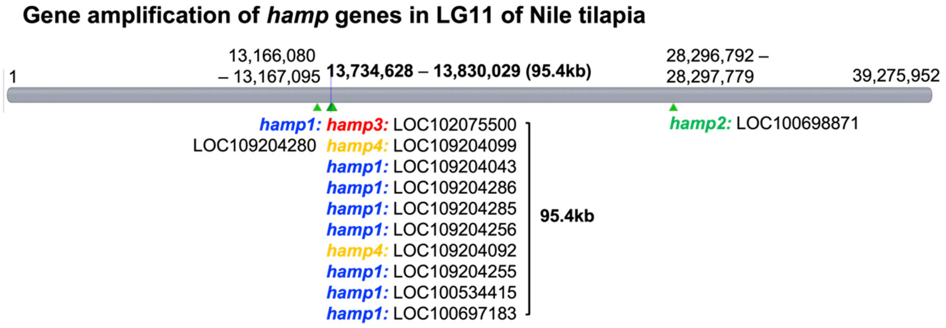Genes 13 00099 g002