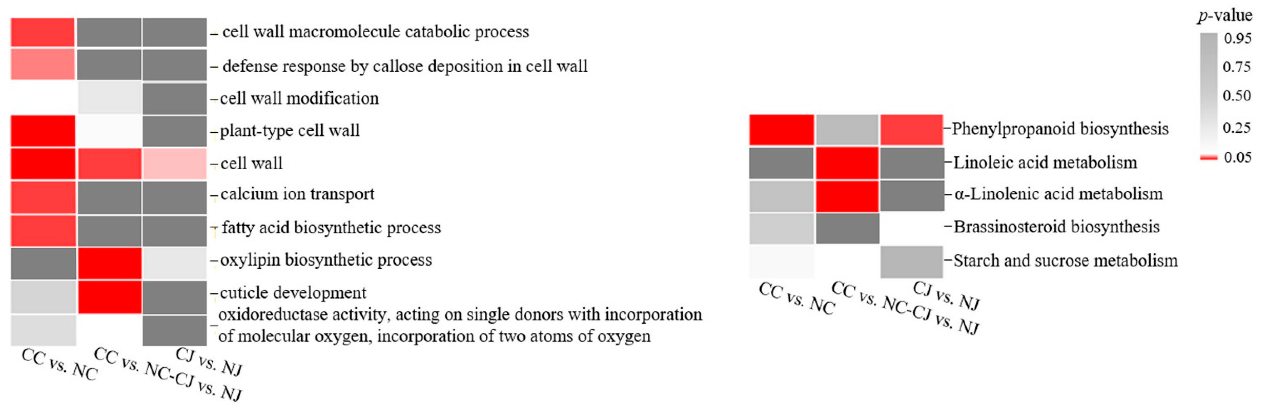 Genes 13 00105 g004