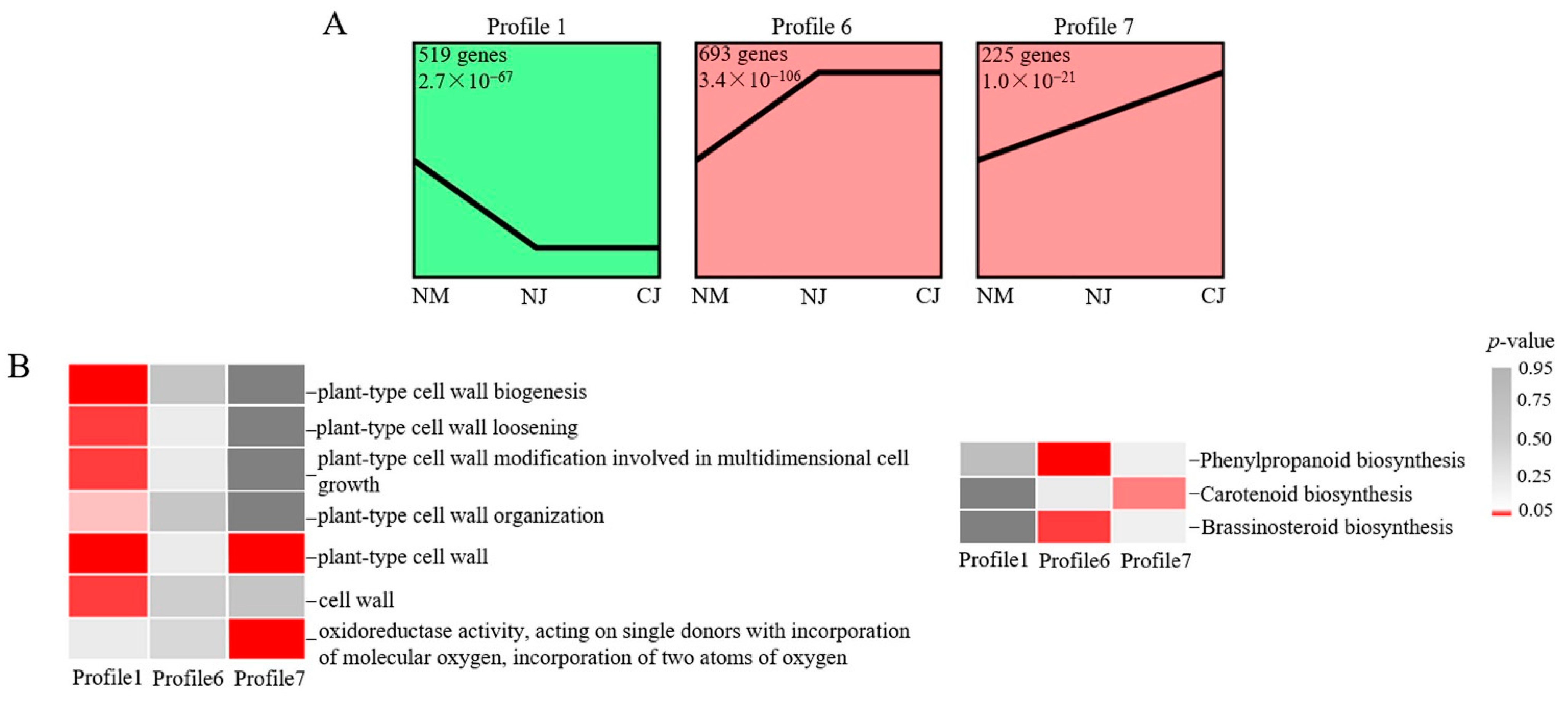 Genes 13 00105 g005