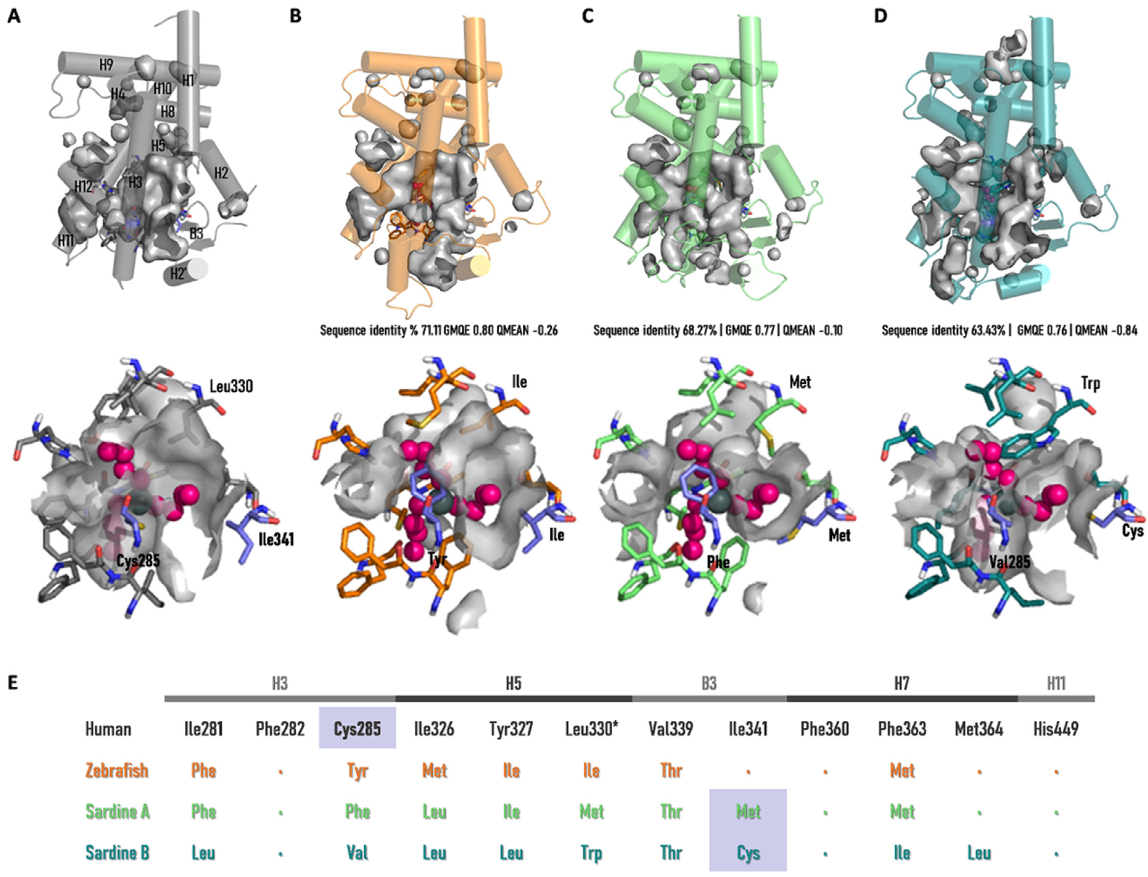 Genes 13 00107 g005 Genes 13 00107 g005