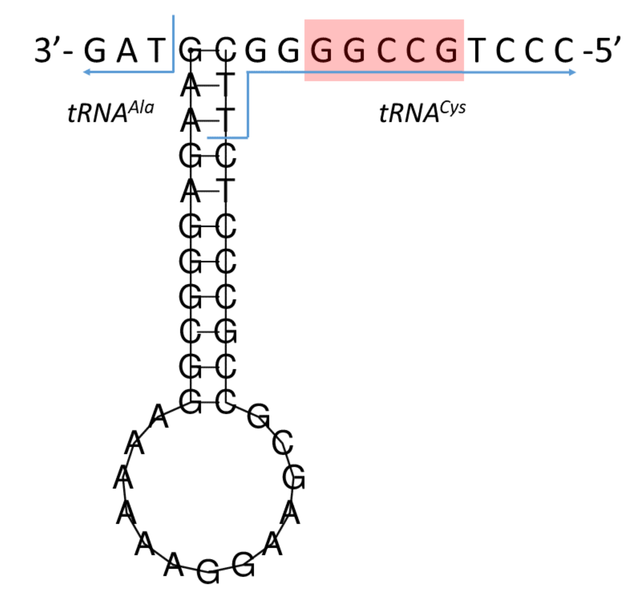 Genes 13 00125 g006