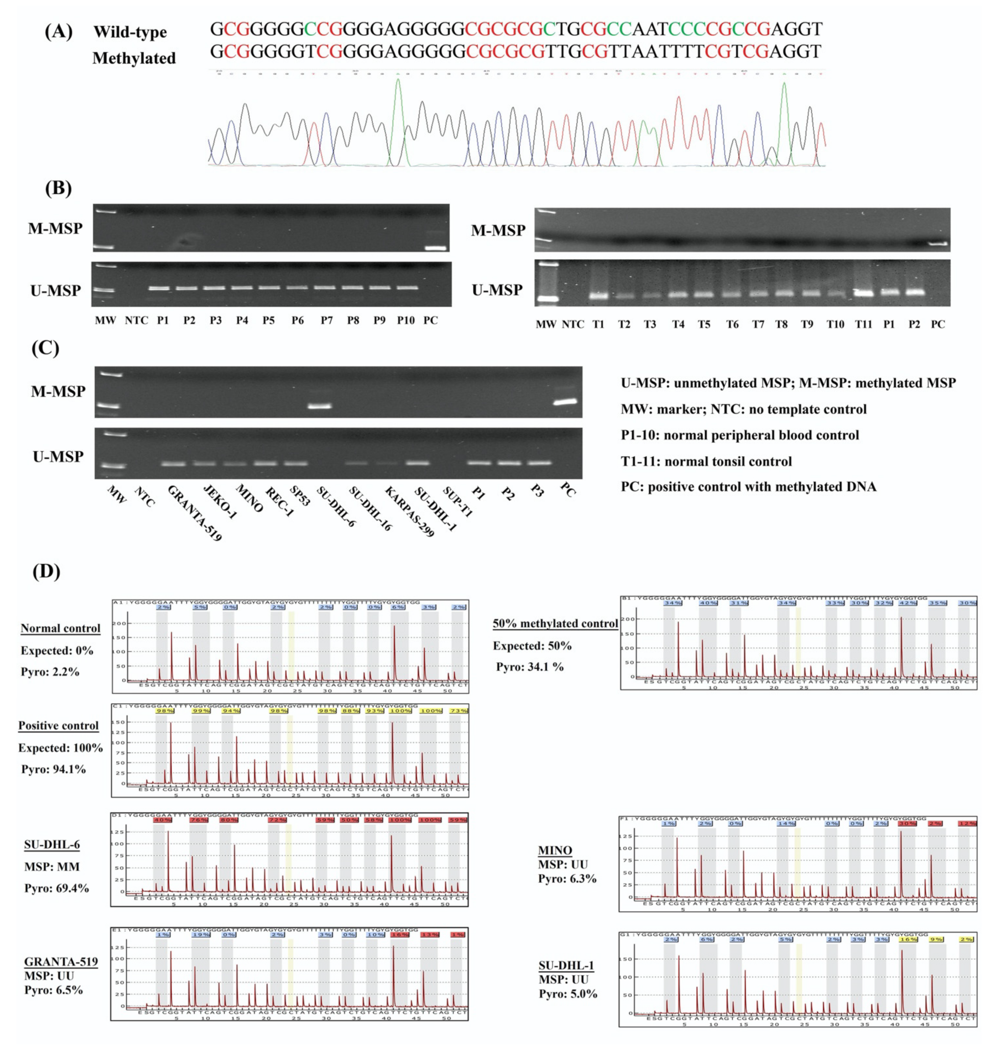 Genes 13 00128 g001 Genes 13 00128 g001
