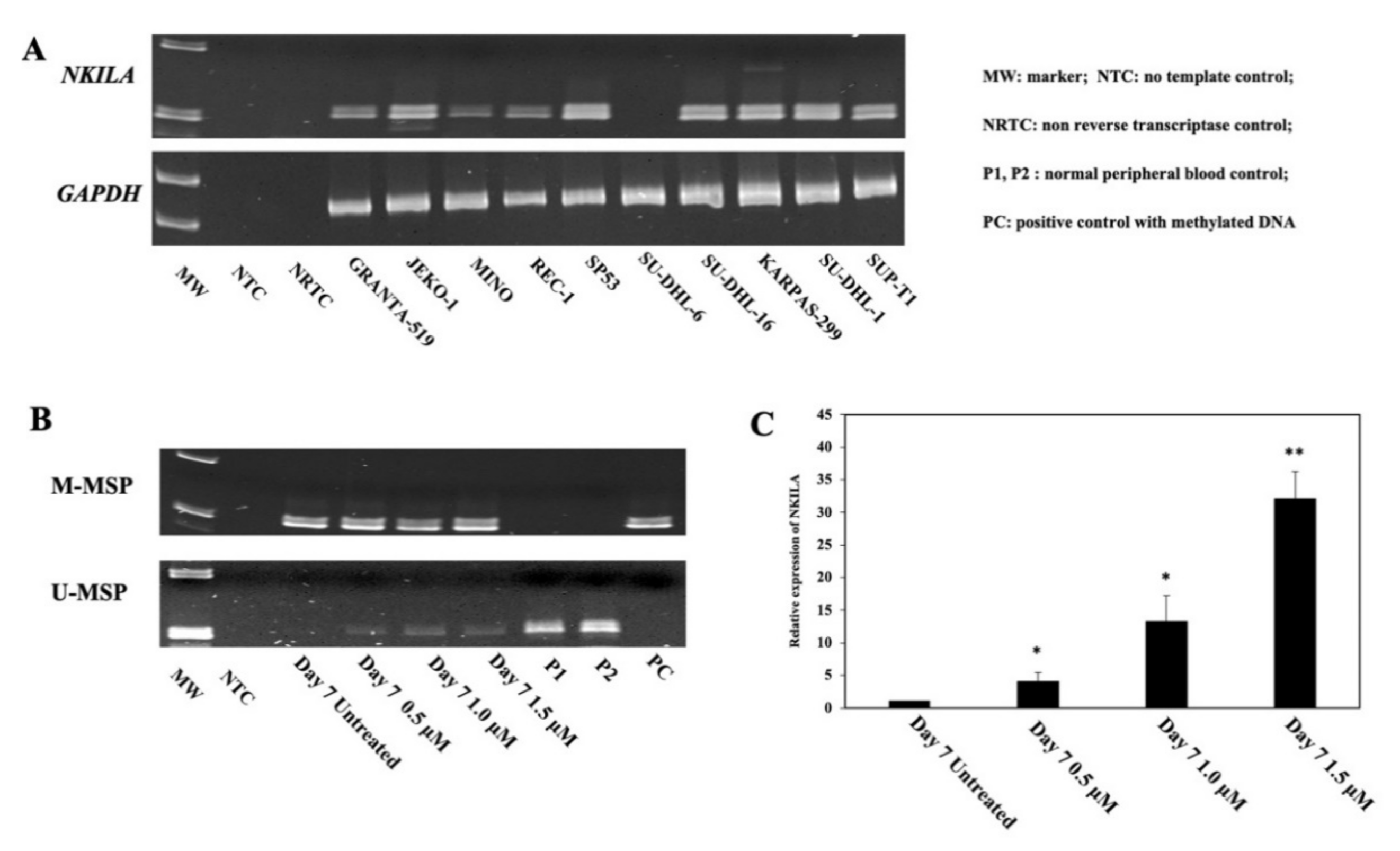 Genes 13 00128 g002 Genes 13 00128 g002