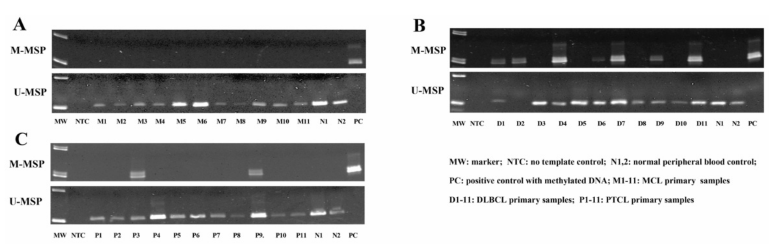 Genes 13 00128 g003 Genes 13 00128 g003