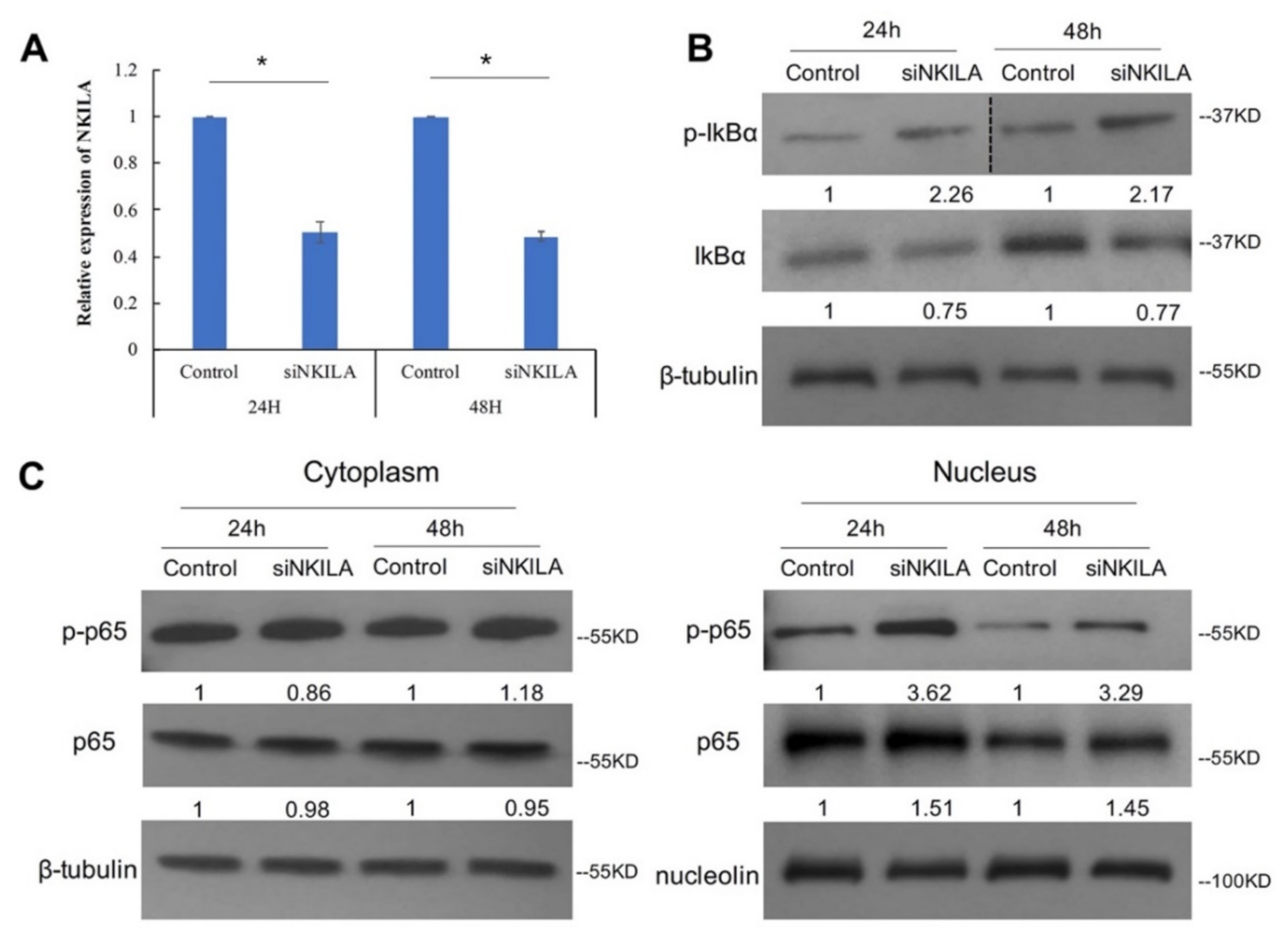 Genes 13 00128 g004 Genes 13 00128 g004