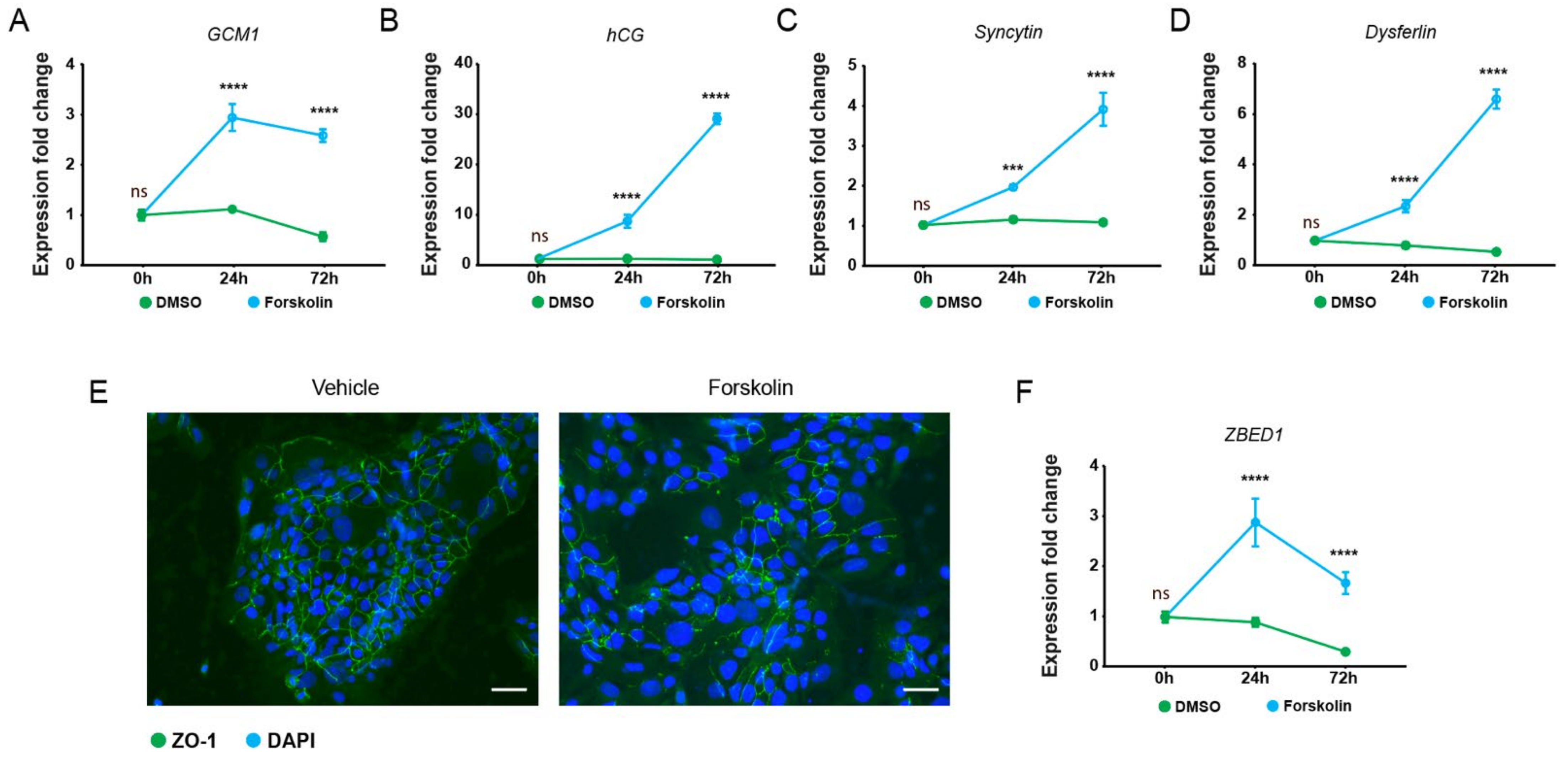 Genes 13 00133 g001 Genes 13 00133 g001
