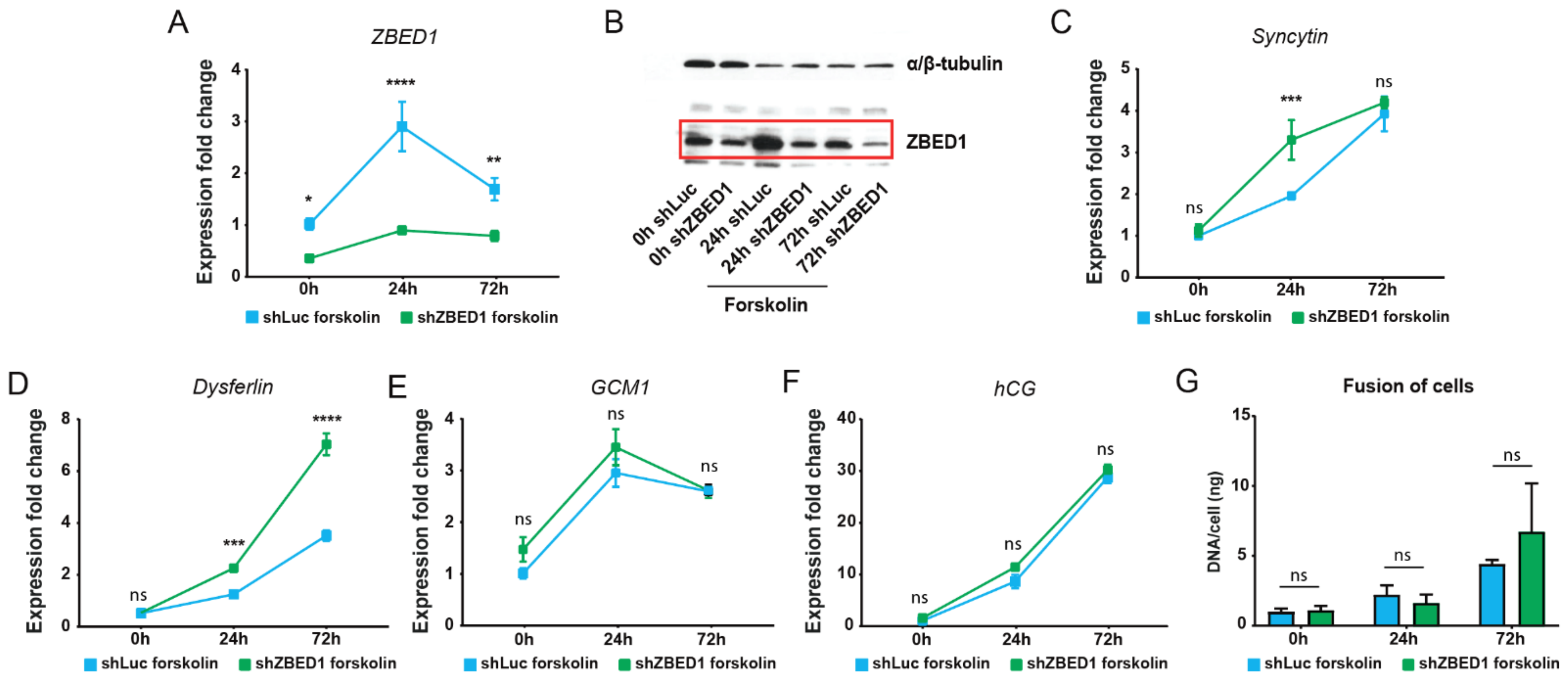 Genes 13 00133 g002 Genes 13 00133 g002
