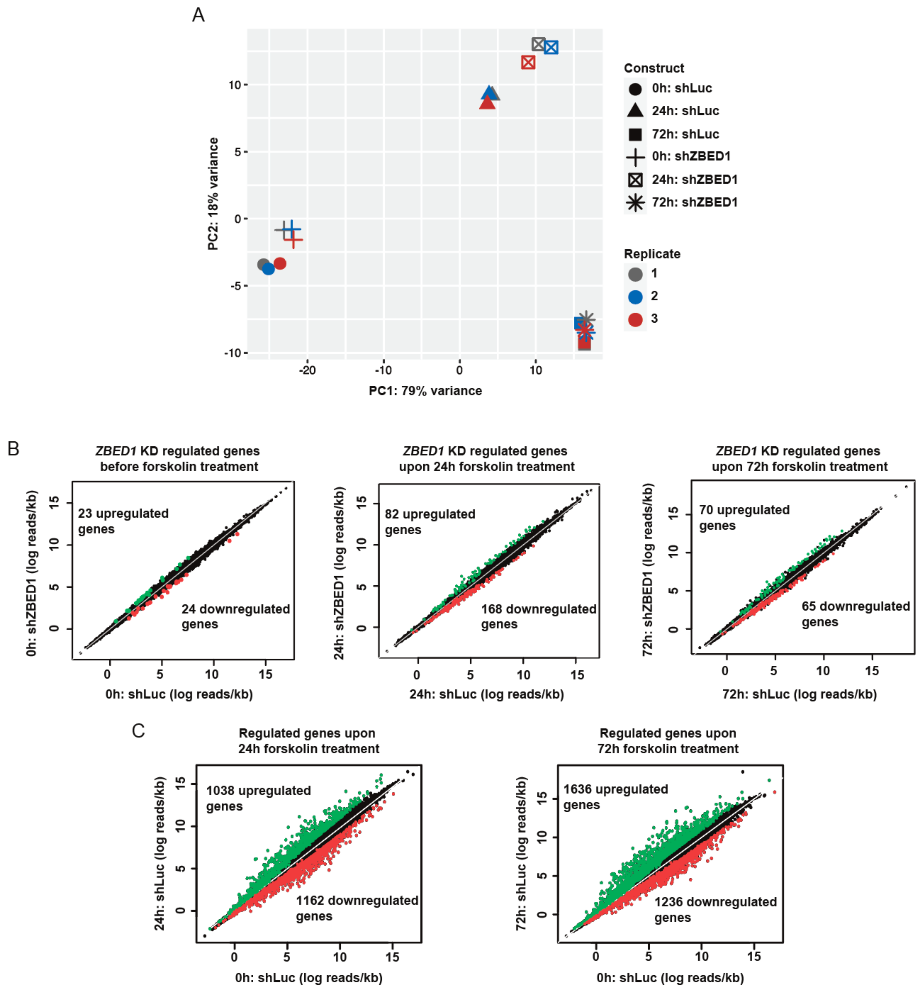 Genes 13 00133 g004 Genes 13 00133 g004